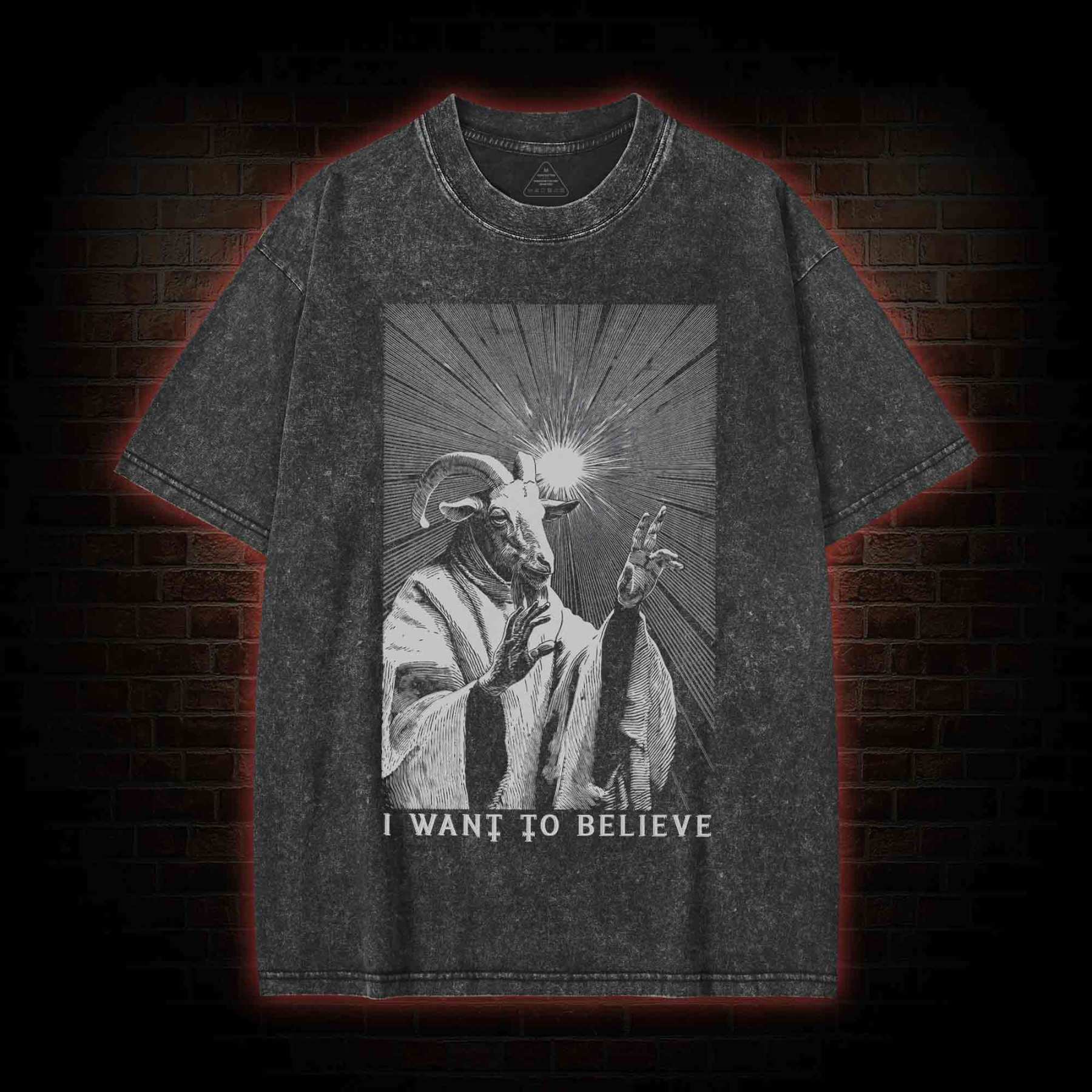 I Want to Believe Goat Washed T-shirt