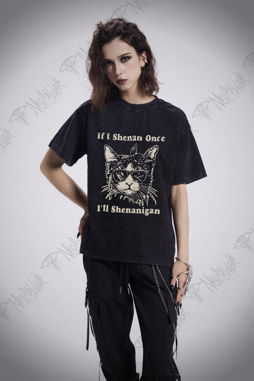 If I Shenan Once I'll Shenanigan Washed T-shirt