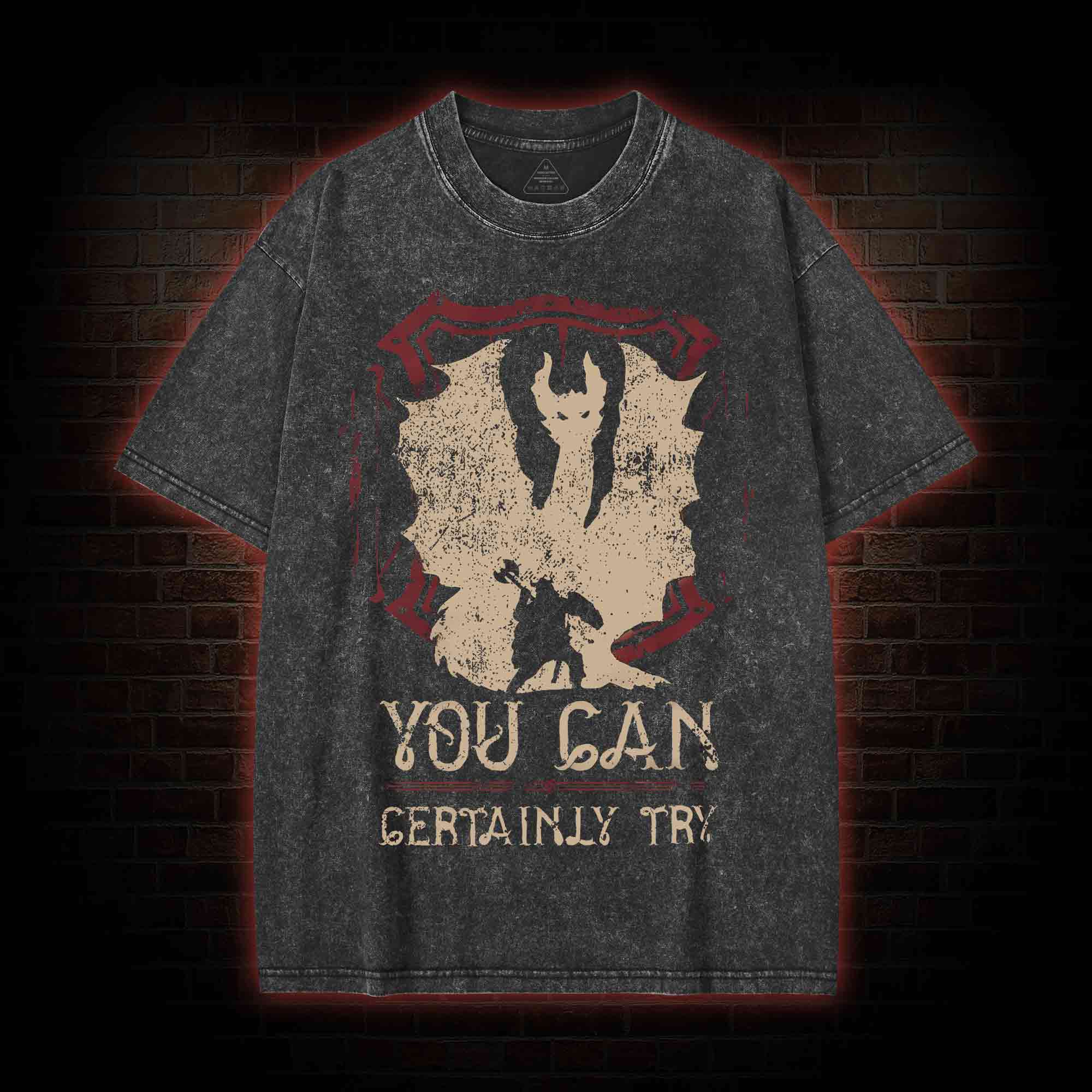 You Can Certainly Try Washed T-shirt