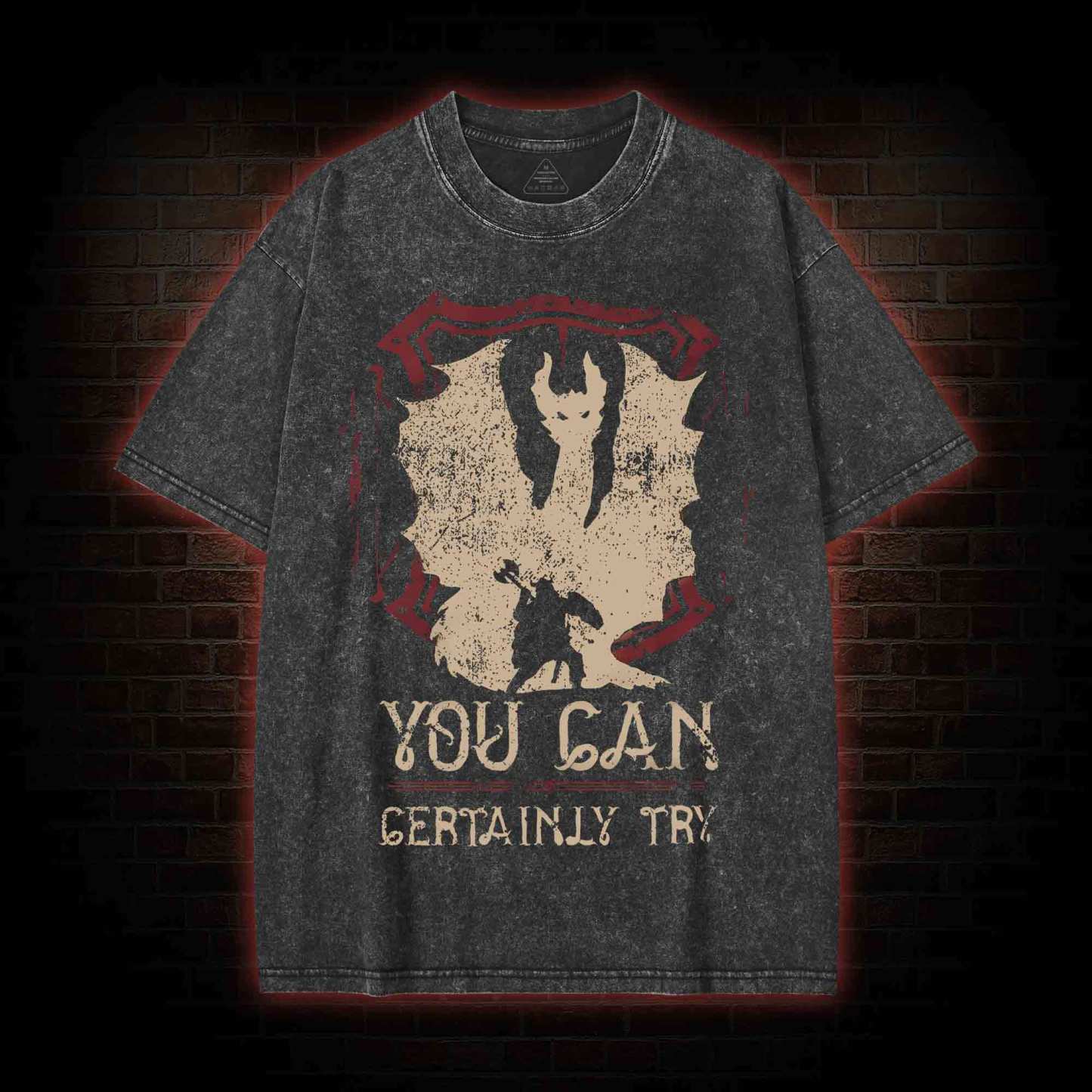 You Can Certainly Try Washed T-shirt