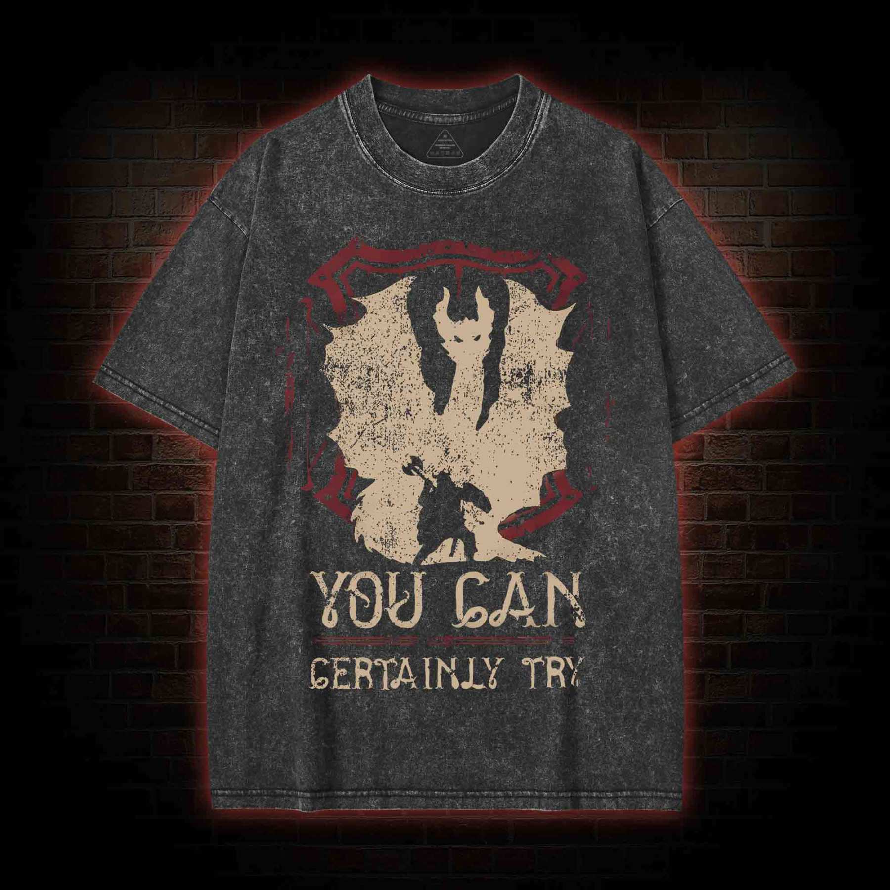 You Can Certainly Try Washed T-shirt