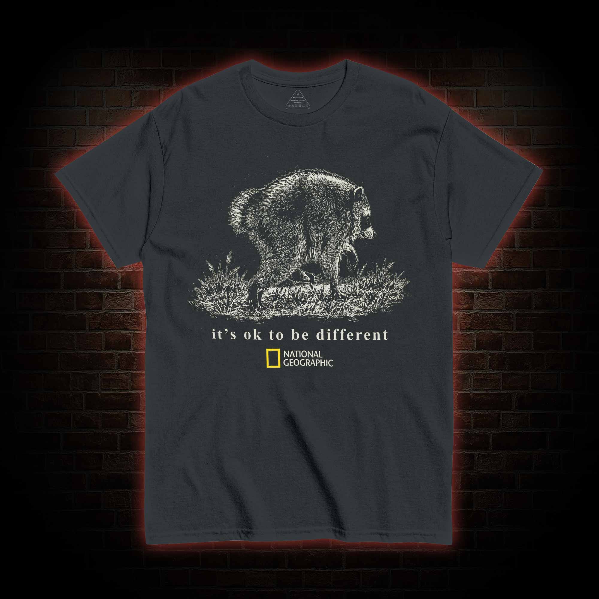 It's Ok to be Different Jimothy  T-shirt