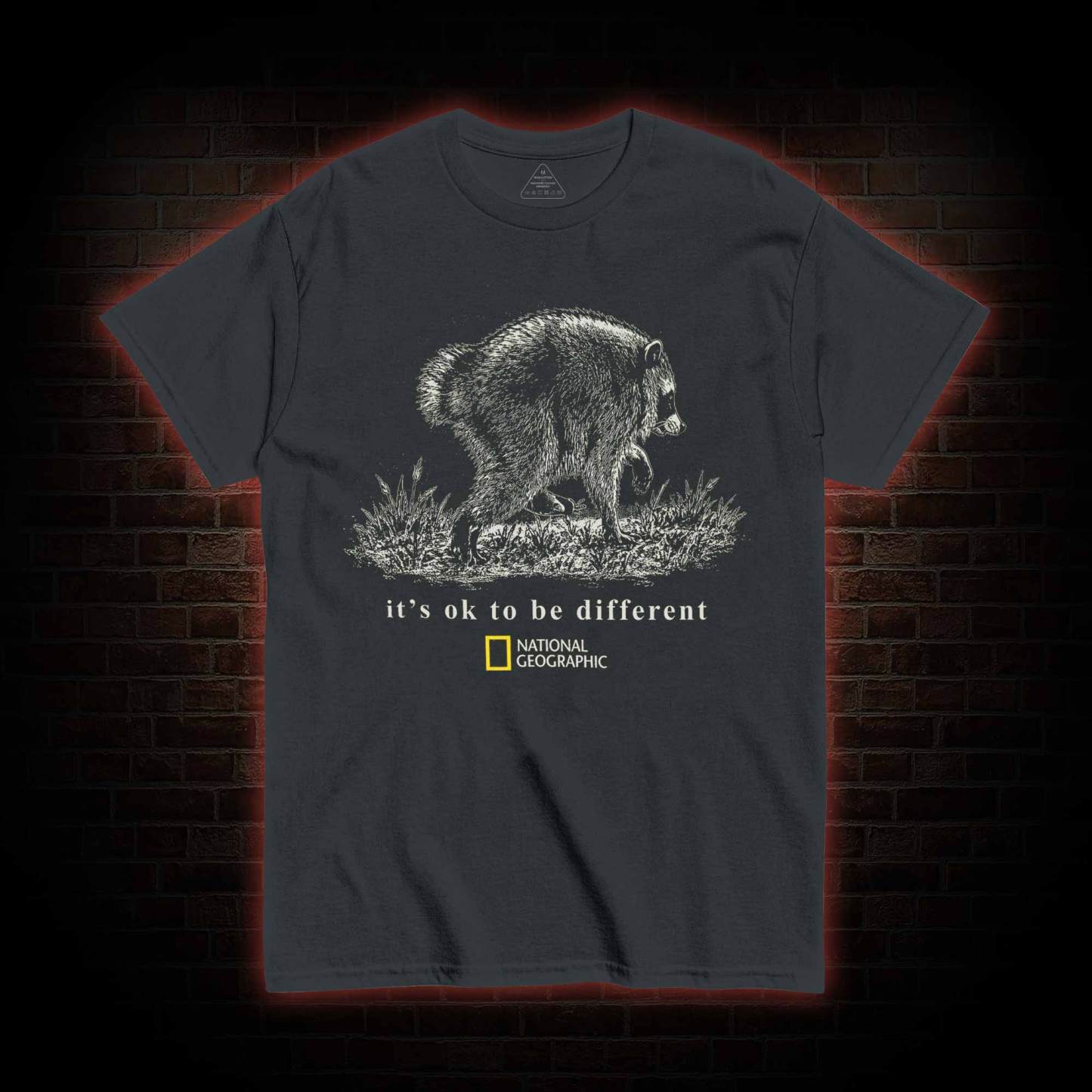 It's Ok to be Different Jimothy  T-shirt