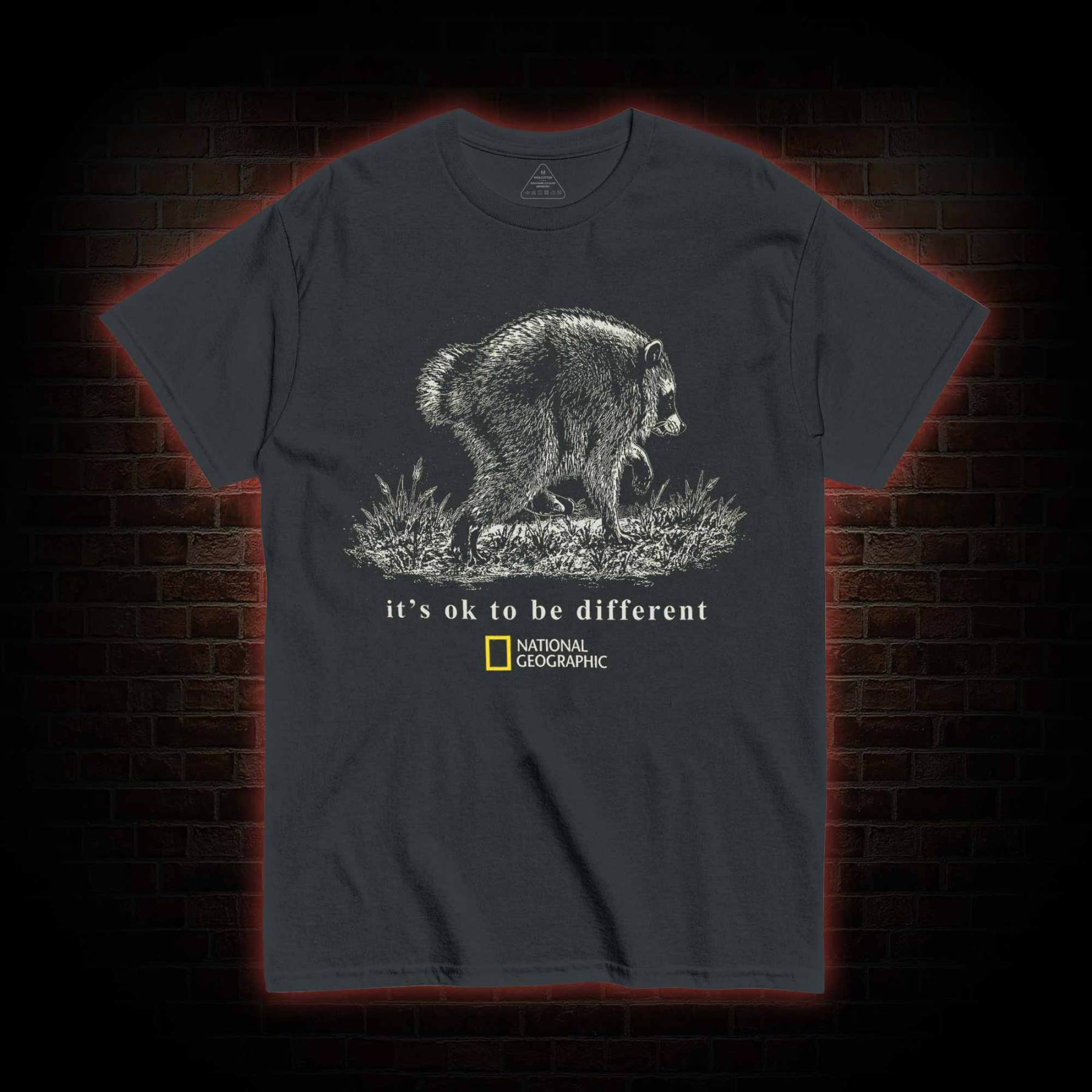 It's Ok to be Different Jimothy  T-shirt