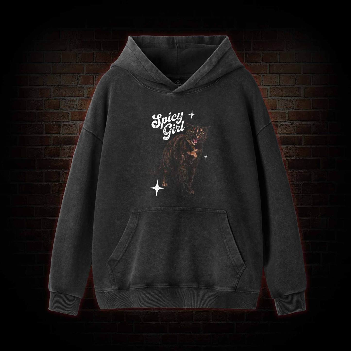 Spicy Girl Washed Hoodie