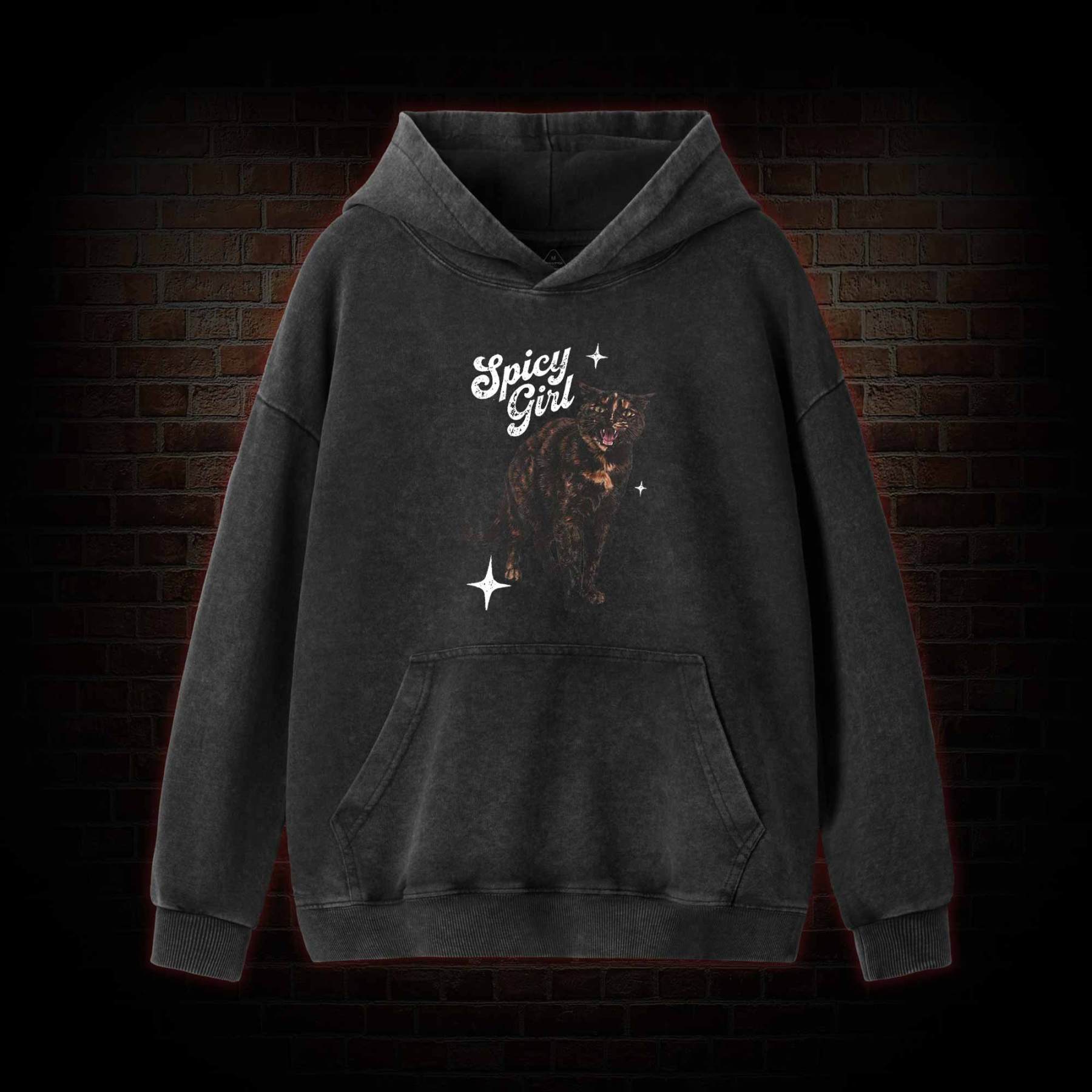 Spicy Girl Washed Hoodie
