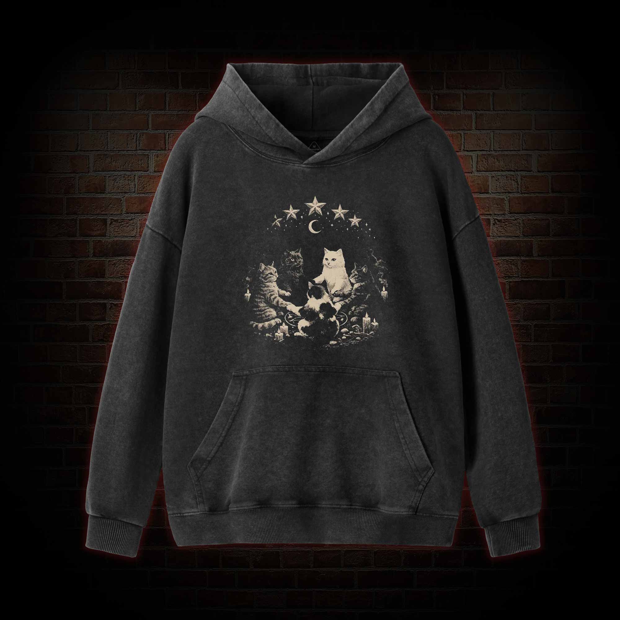 Cat Ritual Washed Hoodie