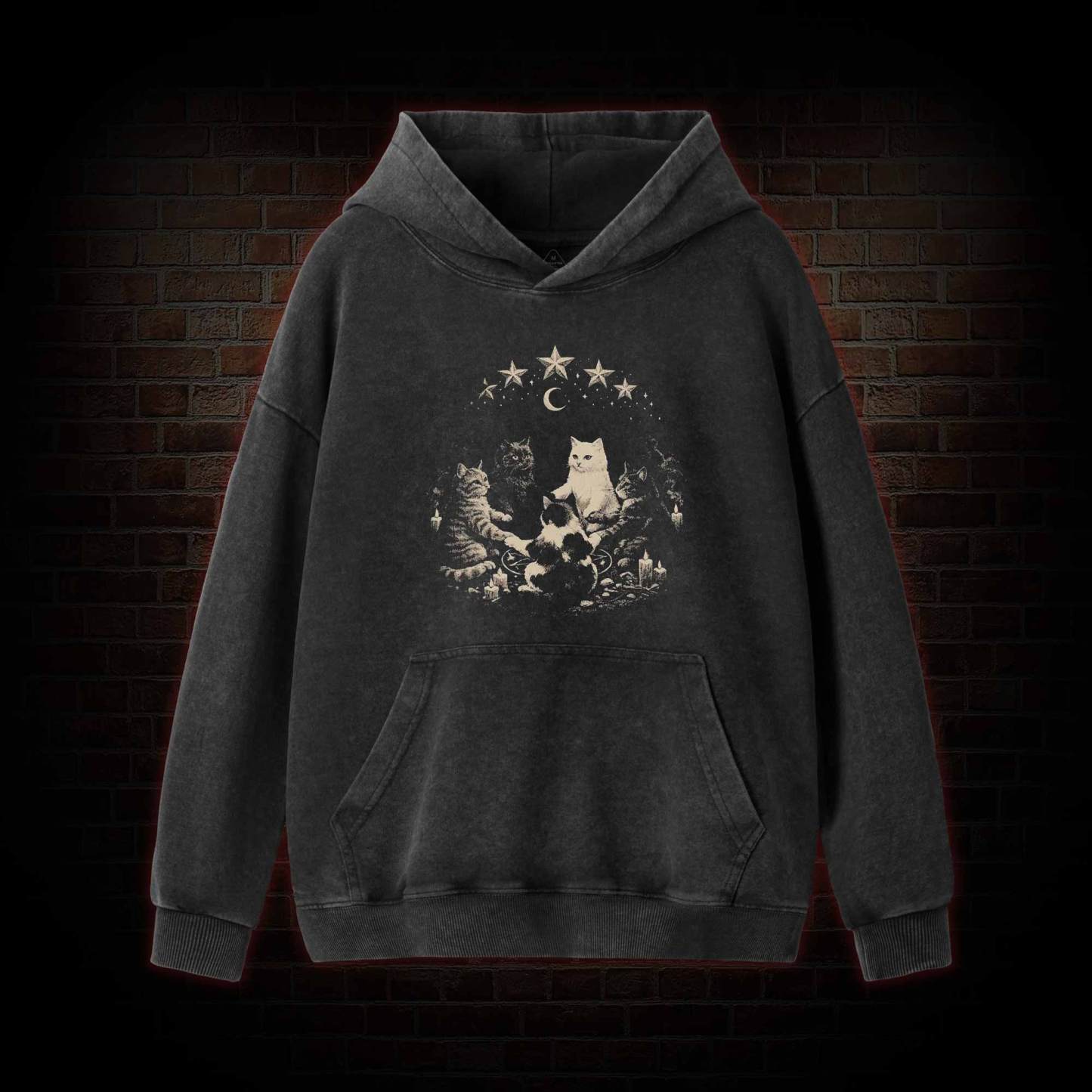 Cat Ritual Washed Hoodie