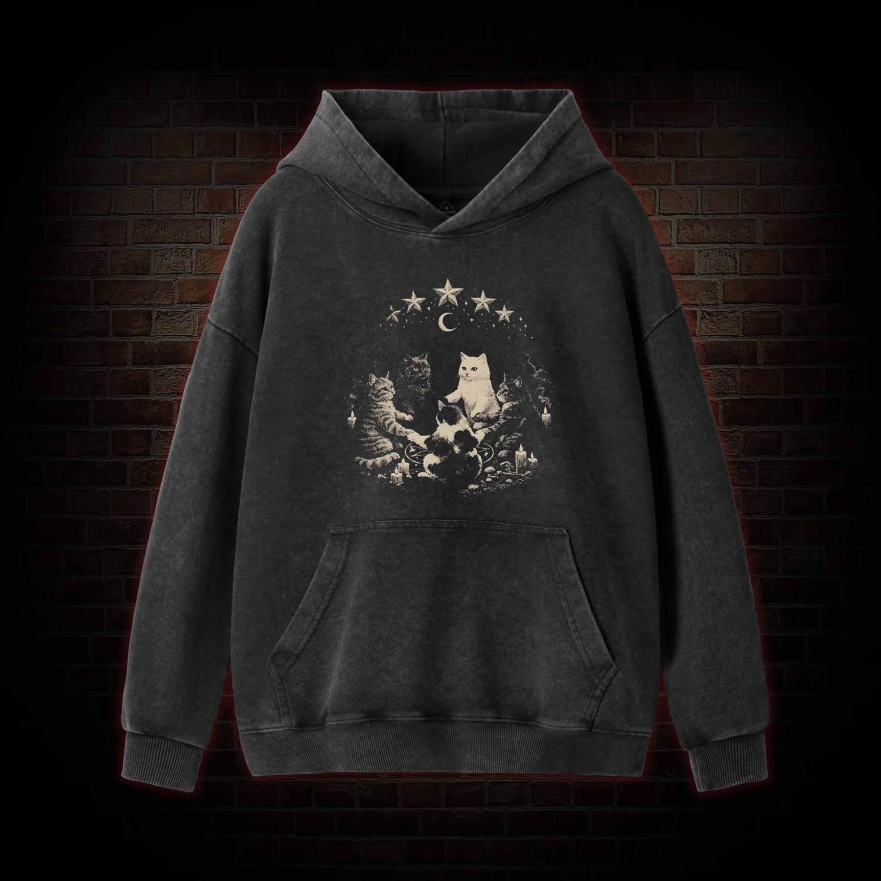 Cat Ritual Washed Hoodie