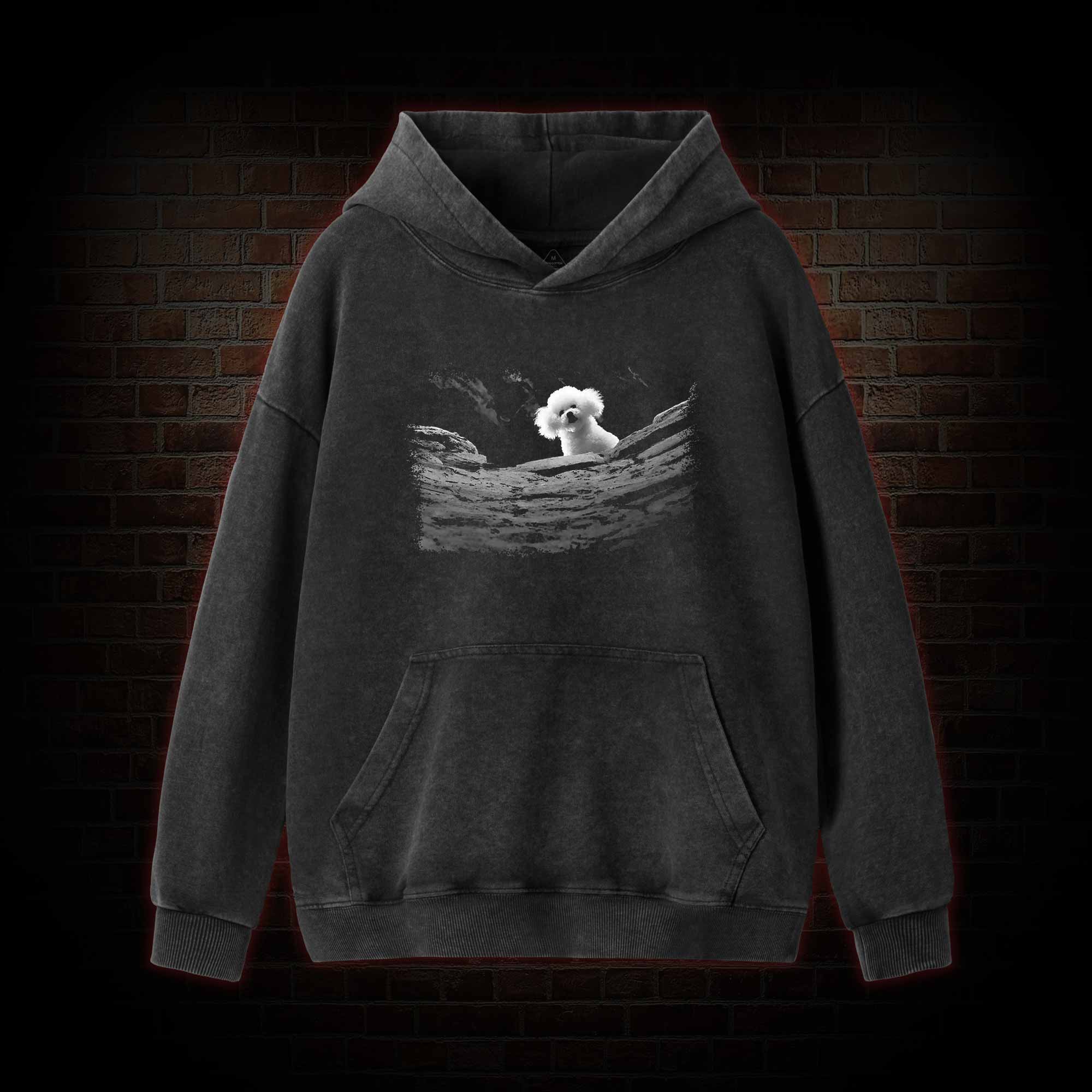 Precious Dog Washed Hoodie