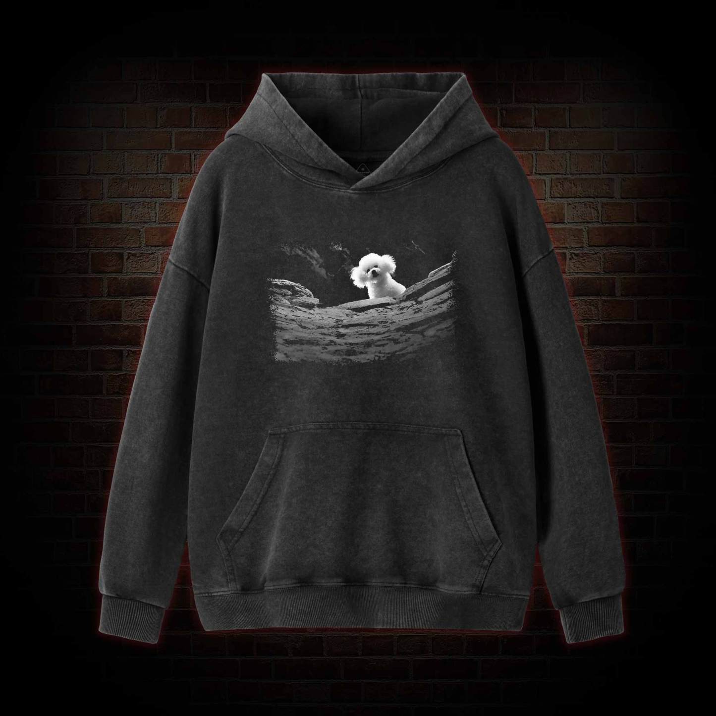 Precious Dog Washed Hoodie
