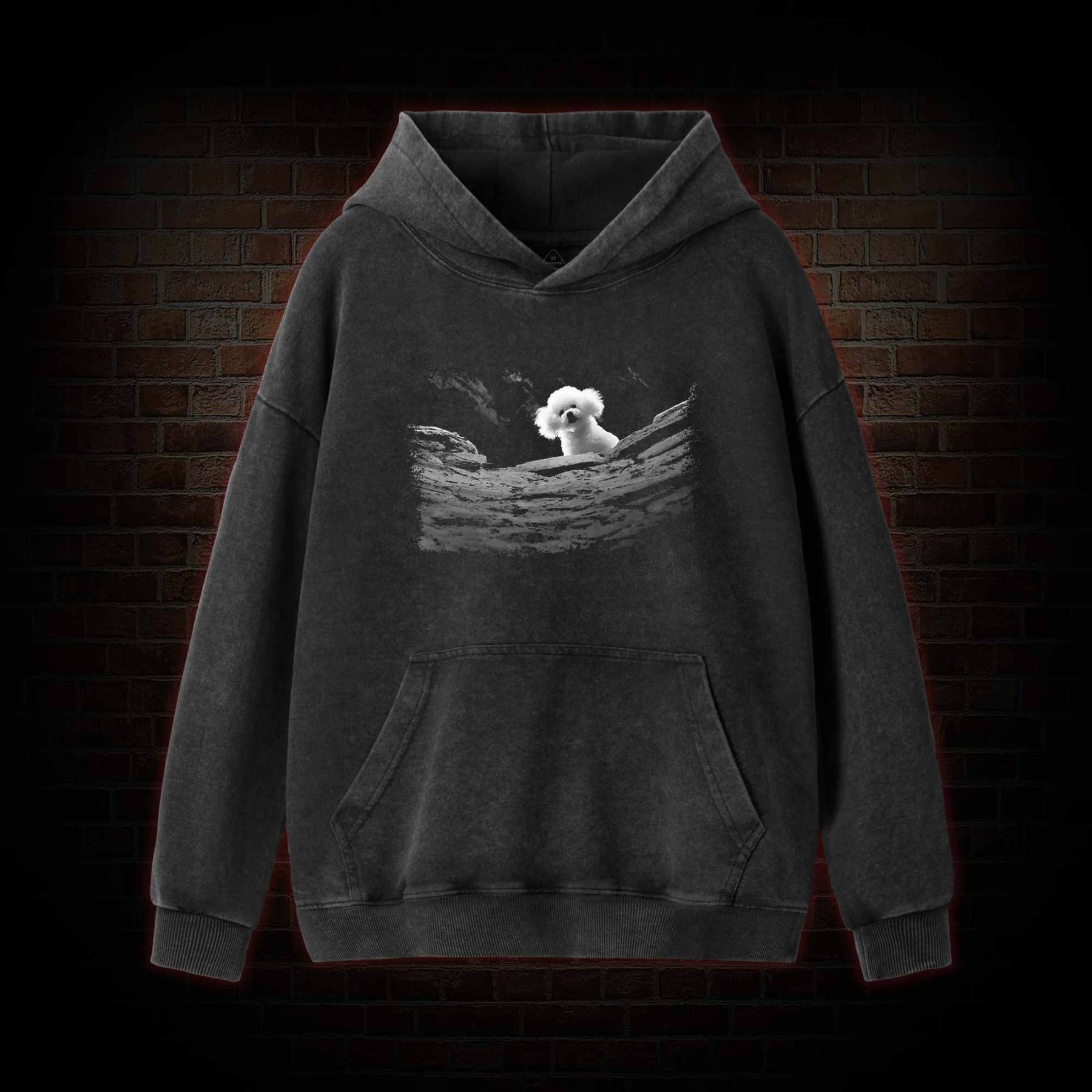 Precious Dog Washed Hoodie