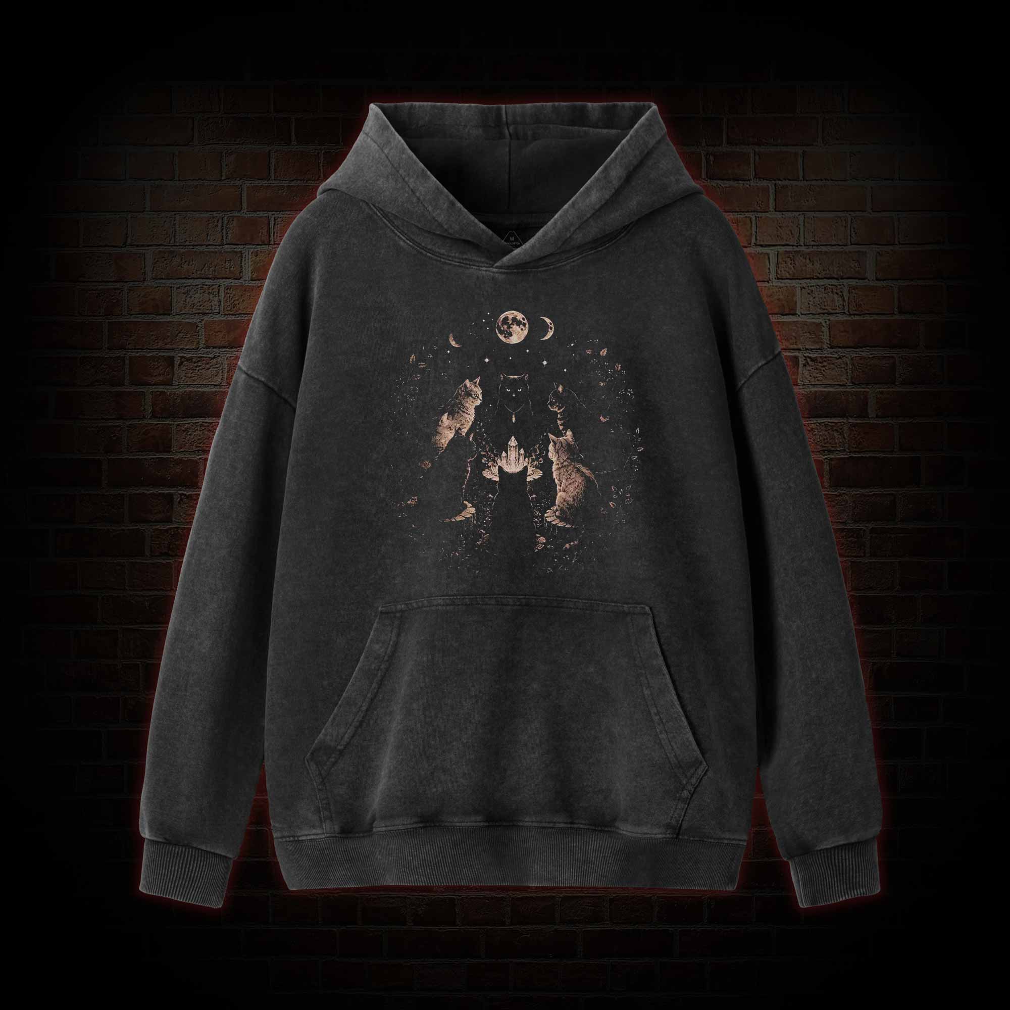 Cat Coven Meeting Washed Hoodie
