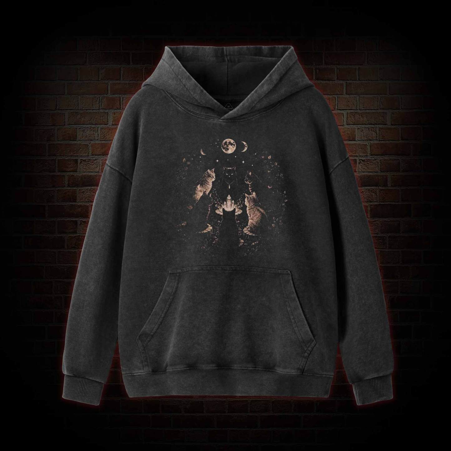 Cat Coven Meeting Washed Hoodie