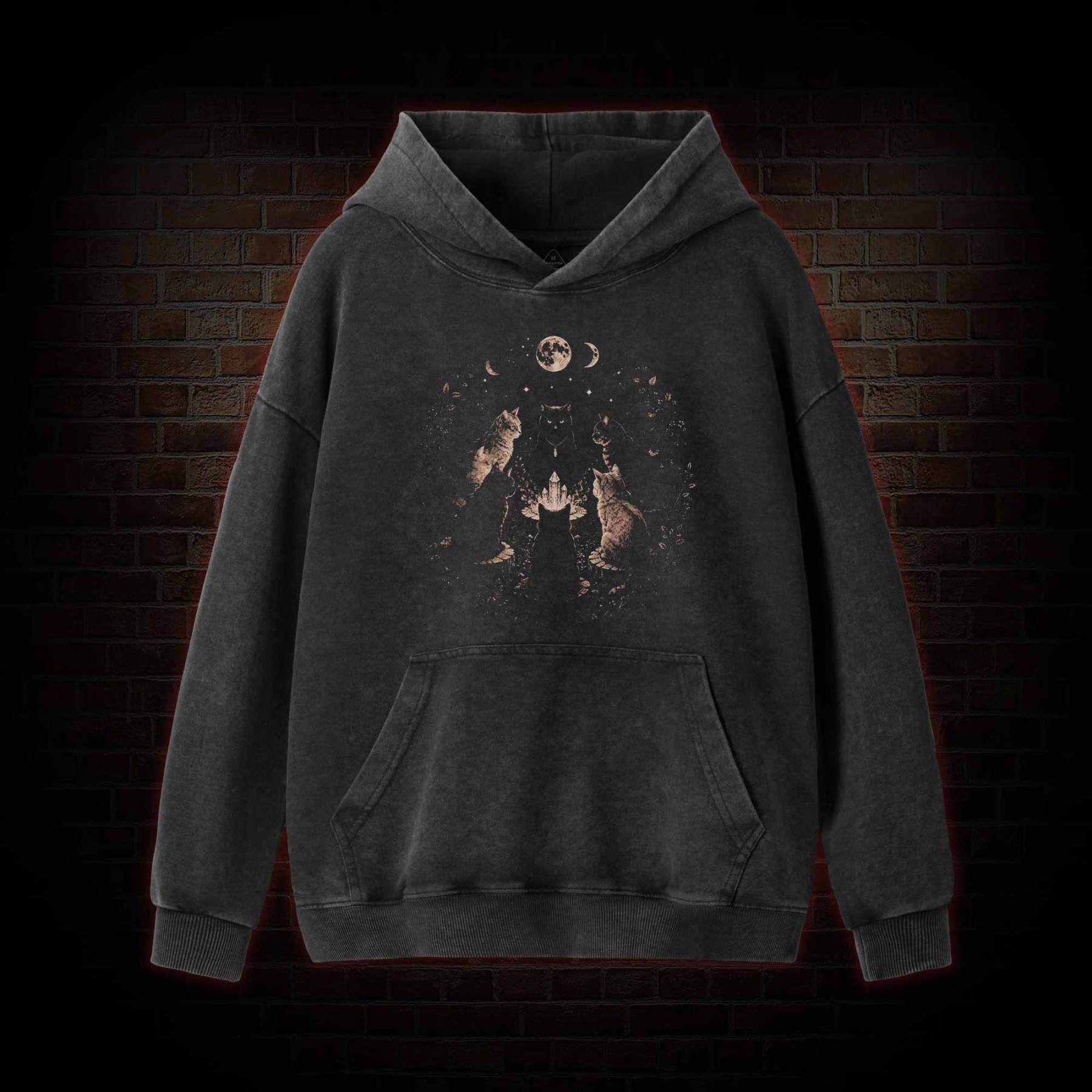 Cat Coven Meeting Washed Hoodie