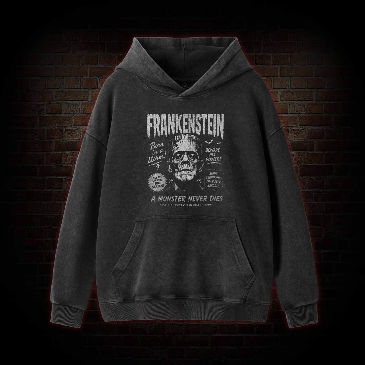 Born in a Storm Washed Hoodie