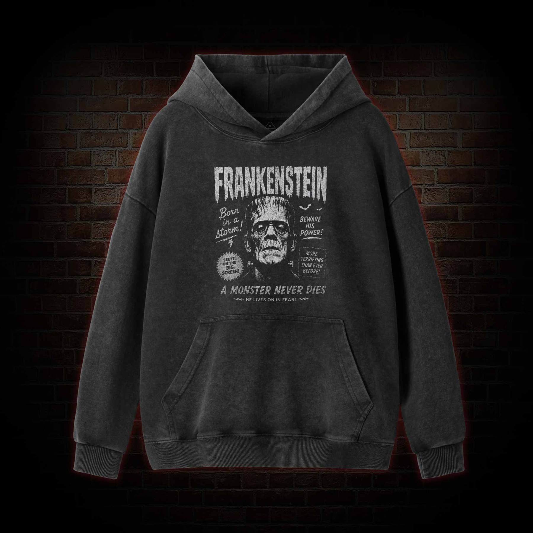 Born in a Storm Washed Hoodie