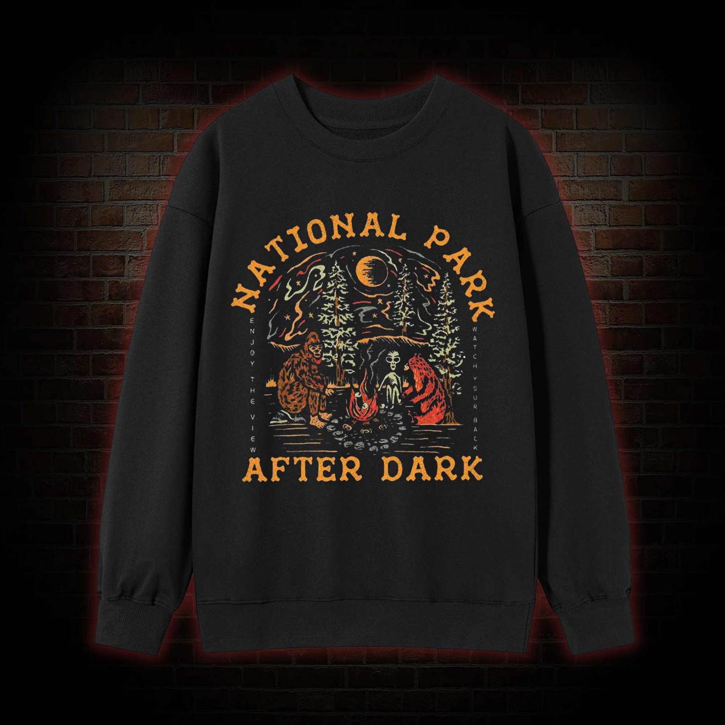 National Park After Dark Sweatshirt