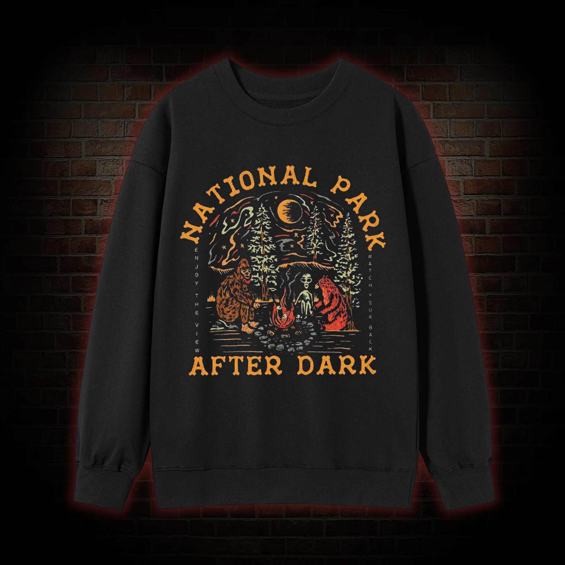 National Park After Dark Sweatshirt