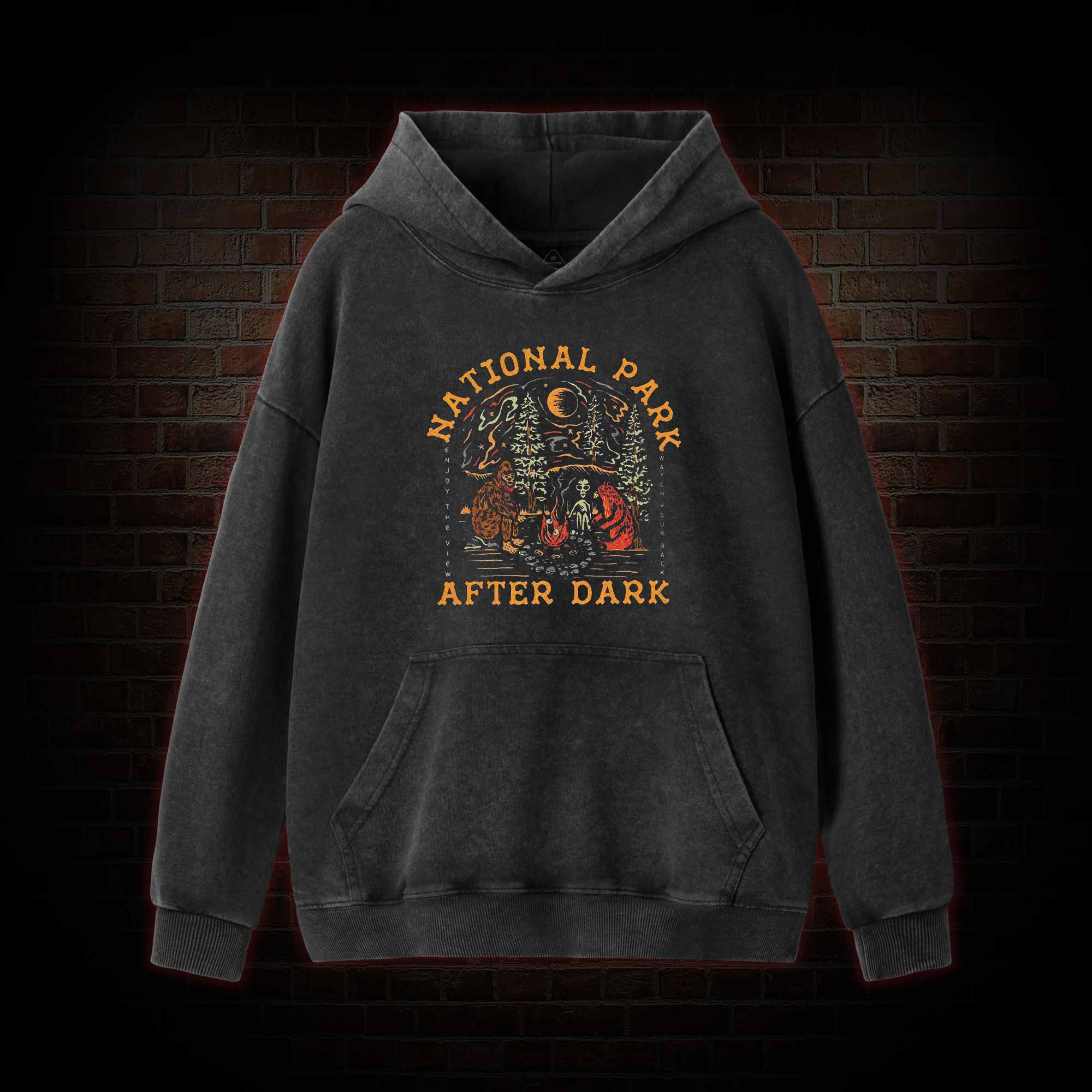 National Park After Dark Washed Hoodie