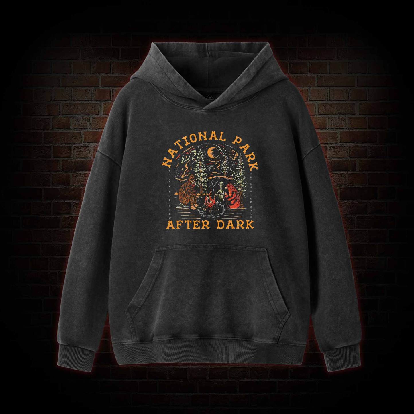 National Park After Dark Washed Hoodie