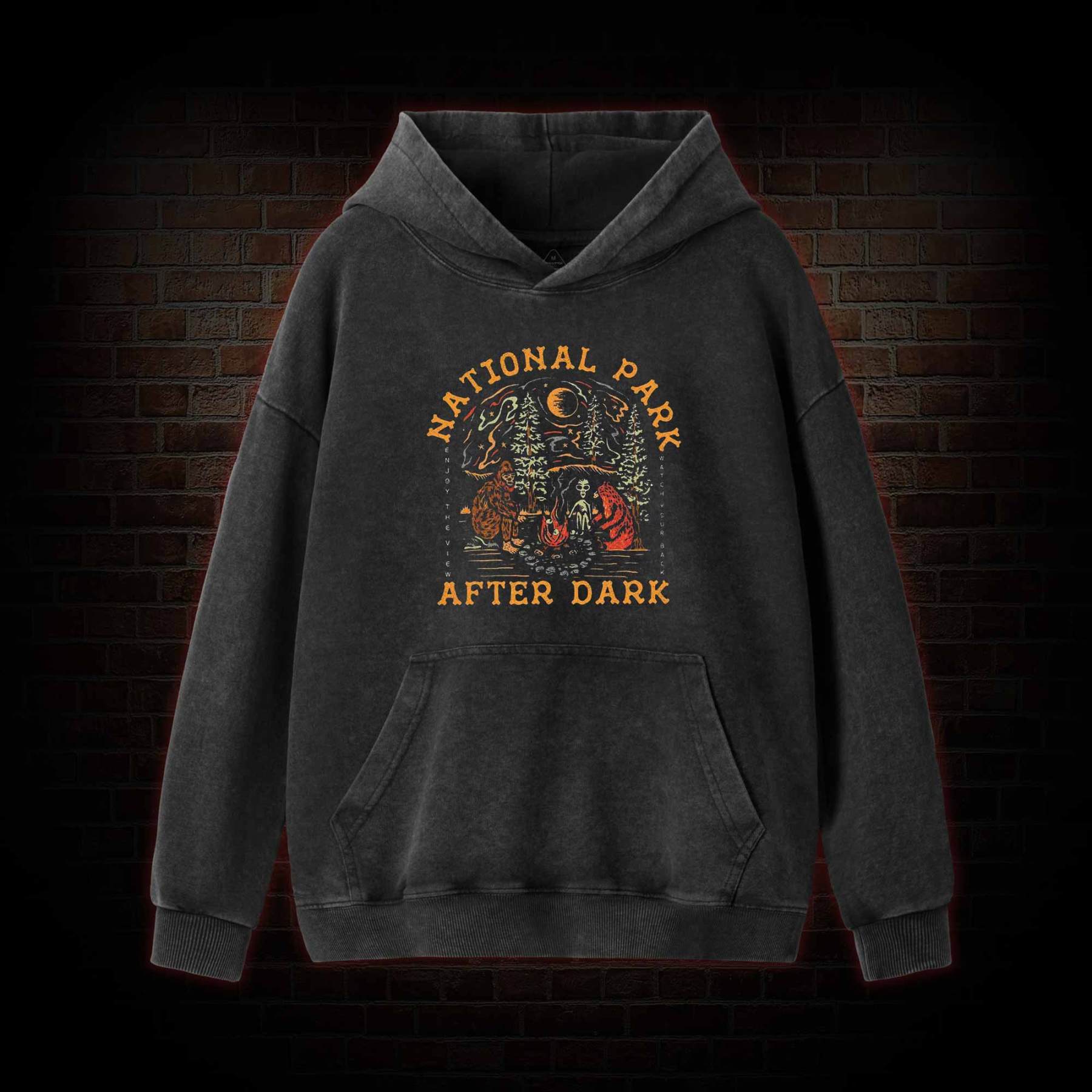 National Park After Dark Washed Hoodie