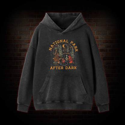 National Park After Dark Washed Hoodie