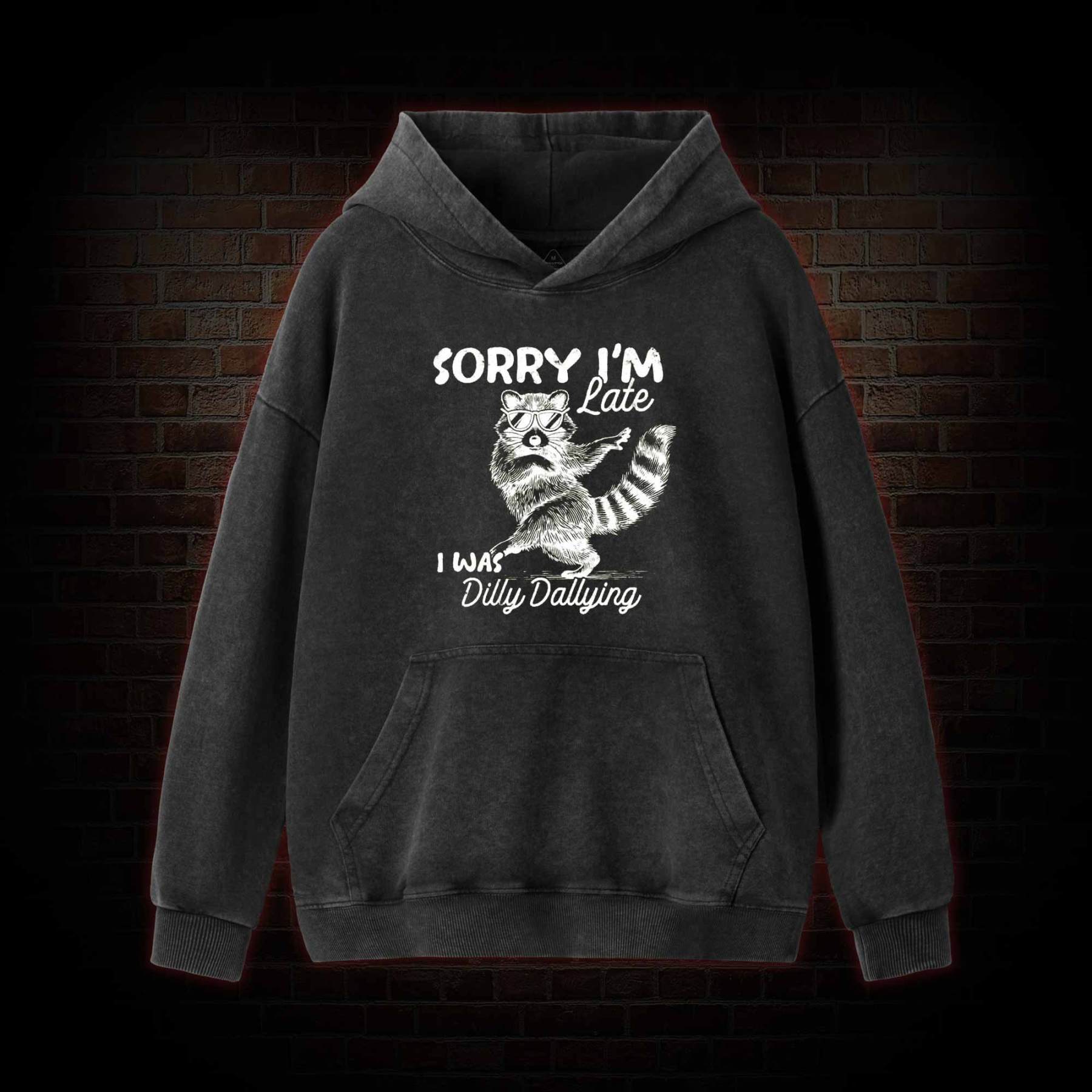 Sorry I'm Late Washed Hoodie