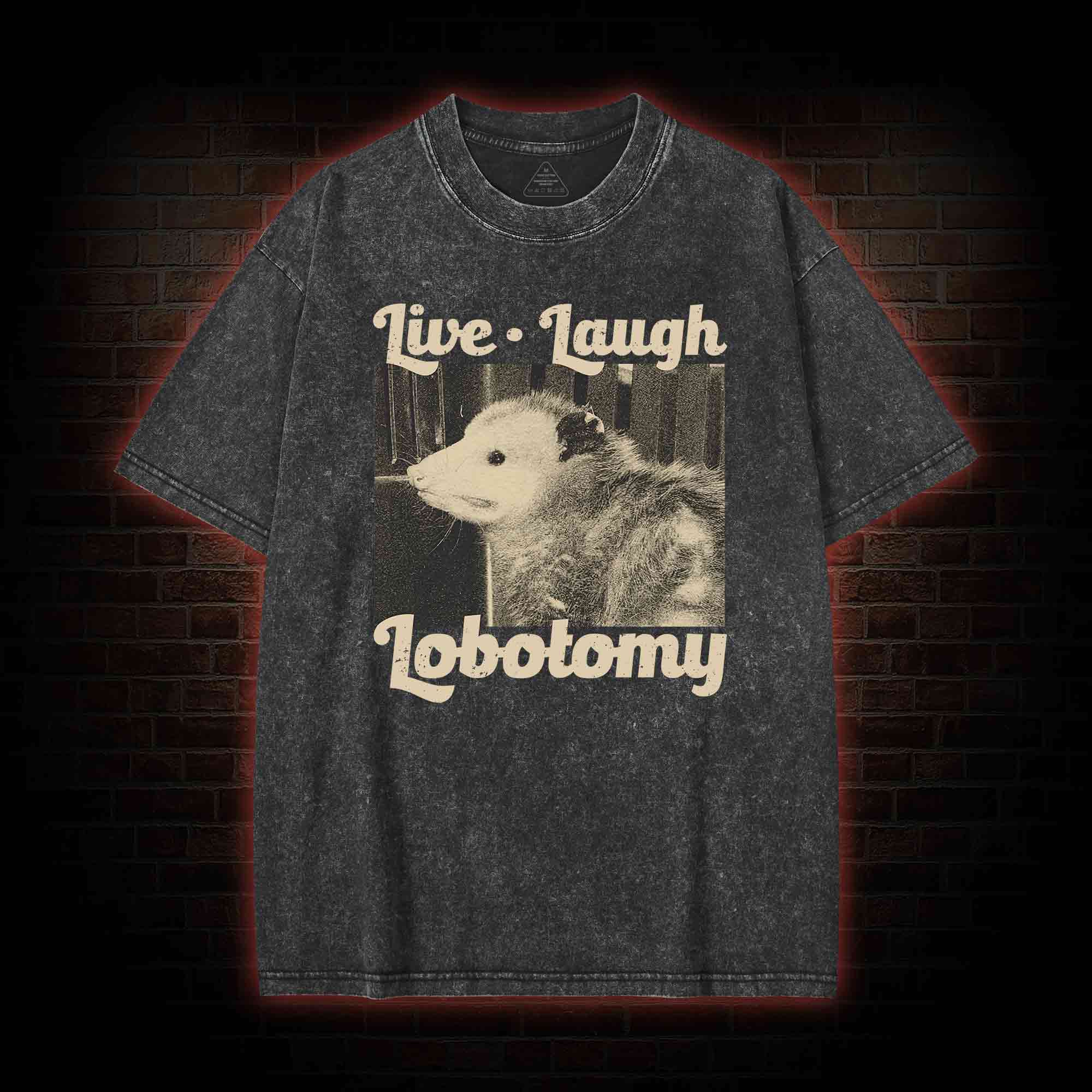 Live Laugh Lobotomy Washed T-shirt