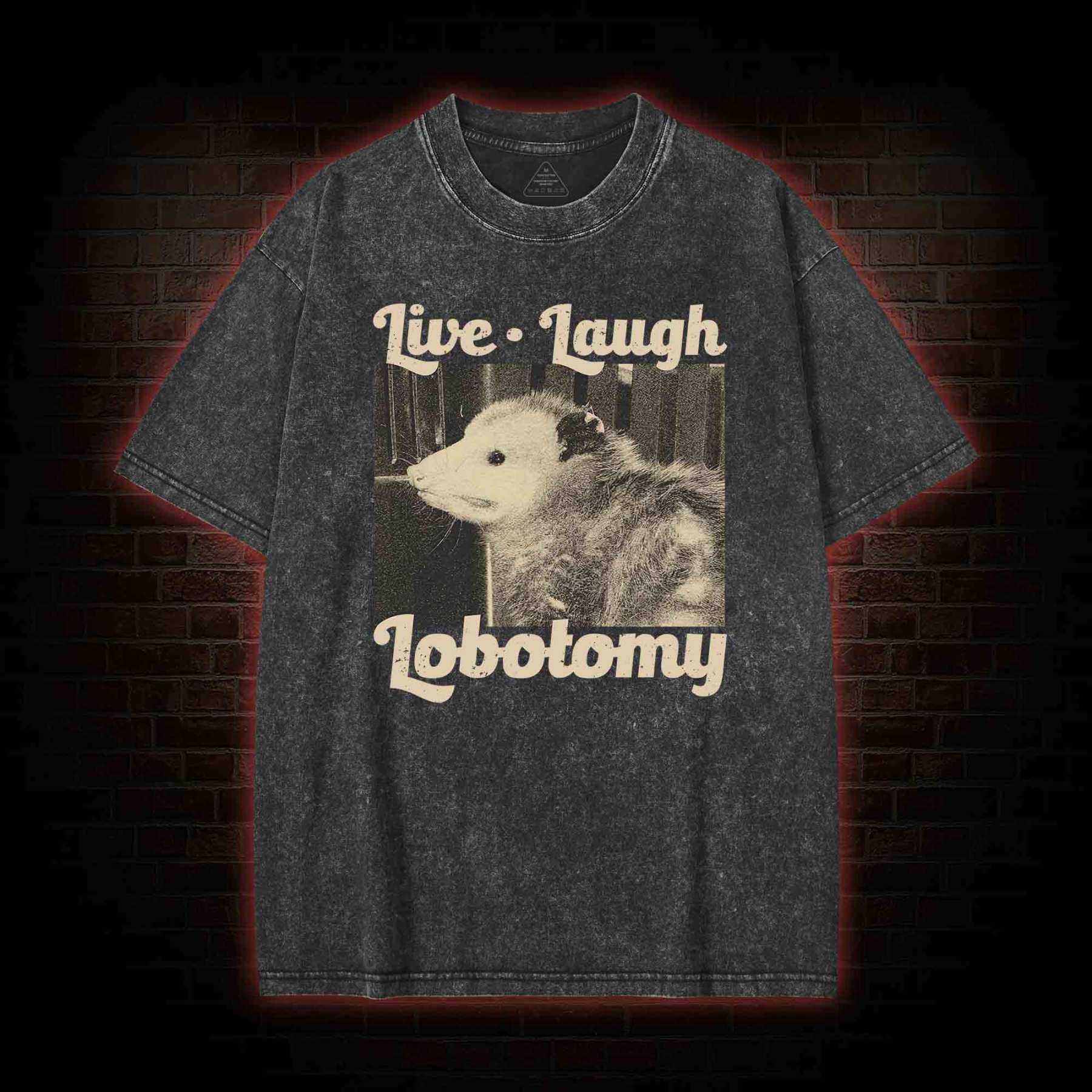 Live Laugh Lobotomy Washed T-shirt 