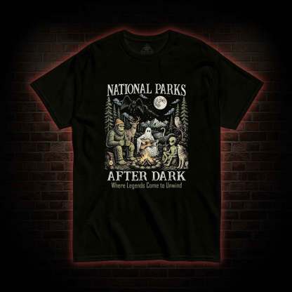 National Parks After Dark T-shirt