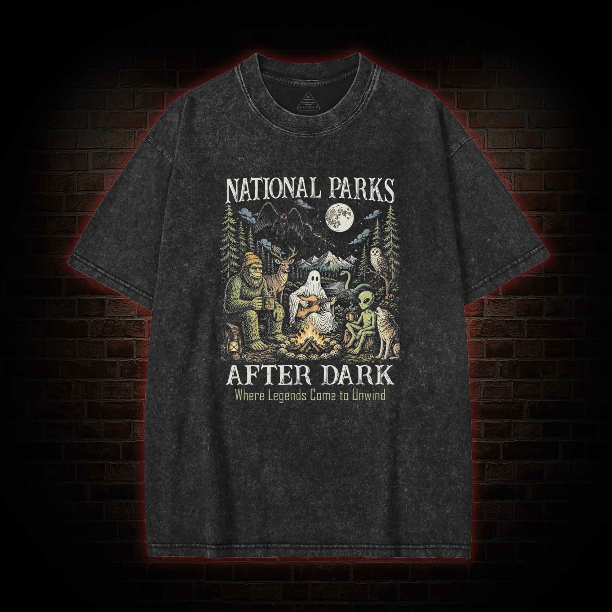 National Parks After Dark Washed T-shirt