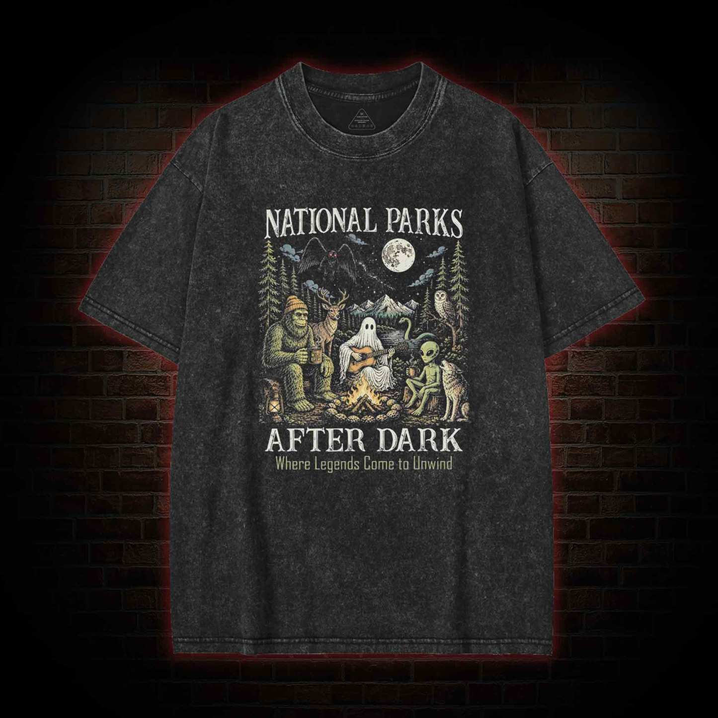 National Parks After Dark Washed T-shirt