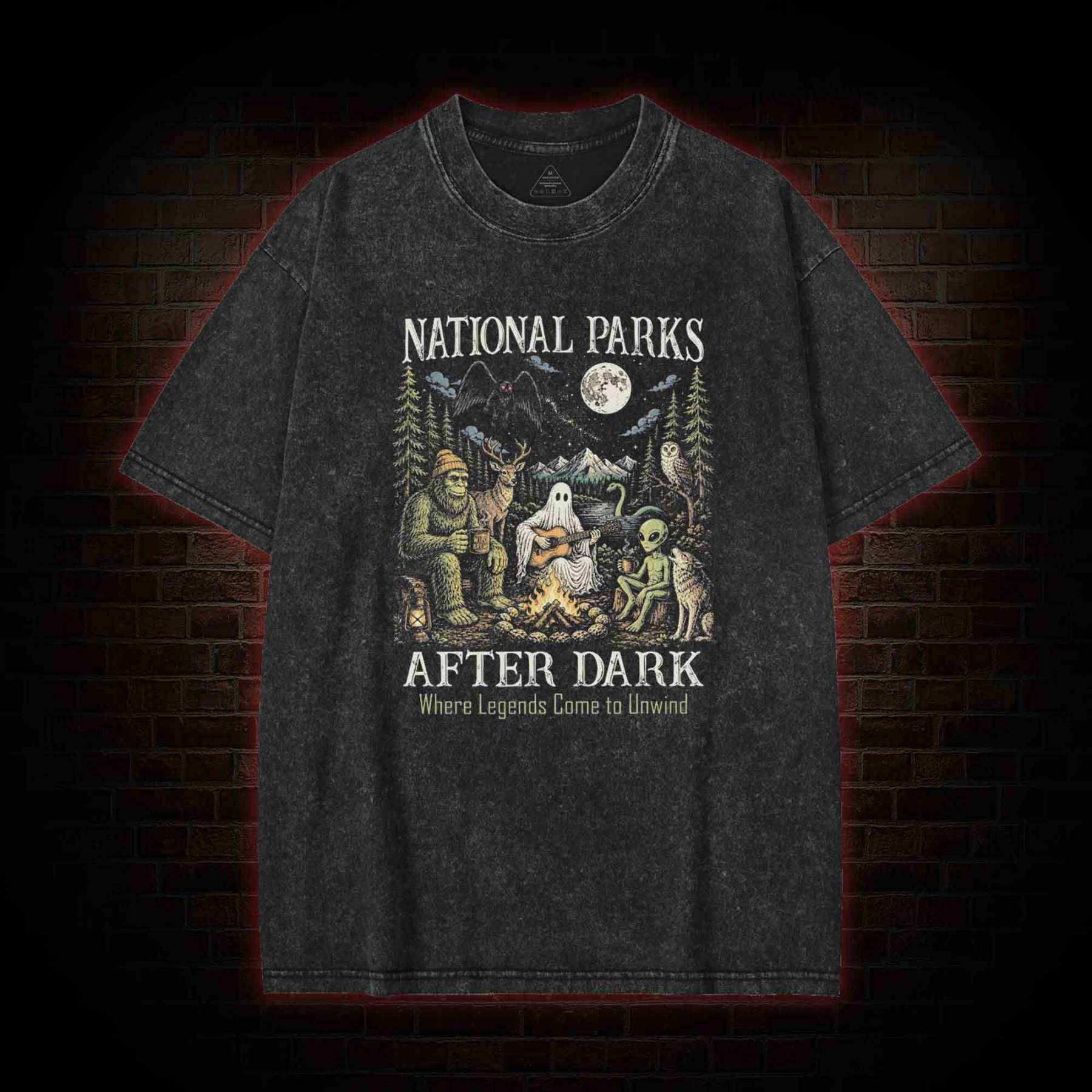 National Parks After Dark Washed T-shirt