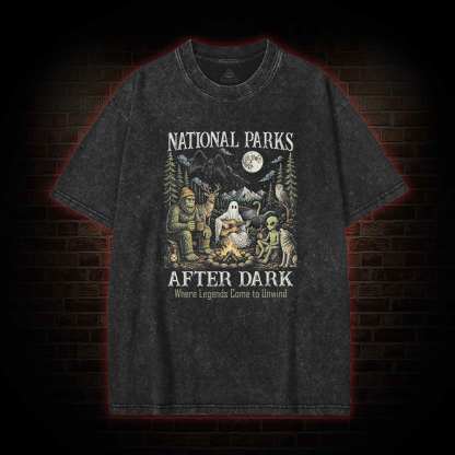 National Parks After Dark Washed T-shirt