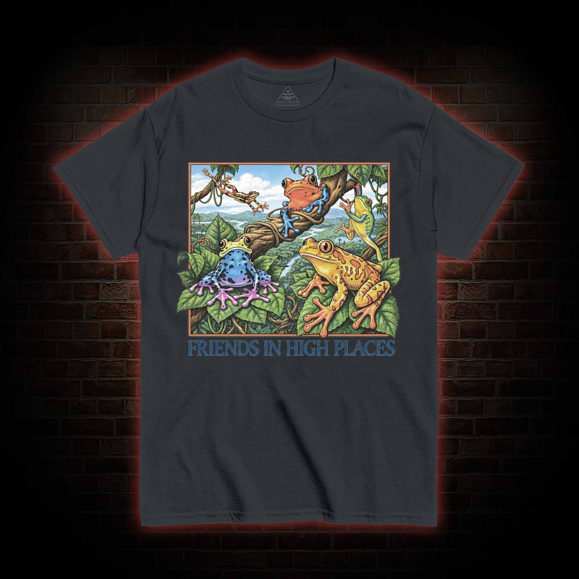 Friends in High Places T-shirt