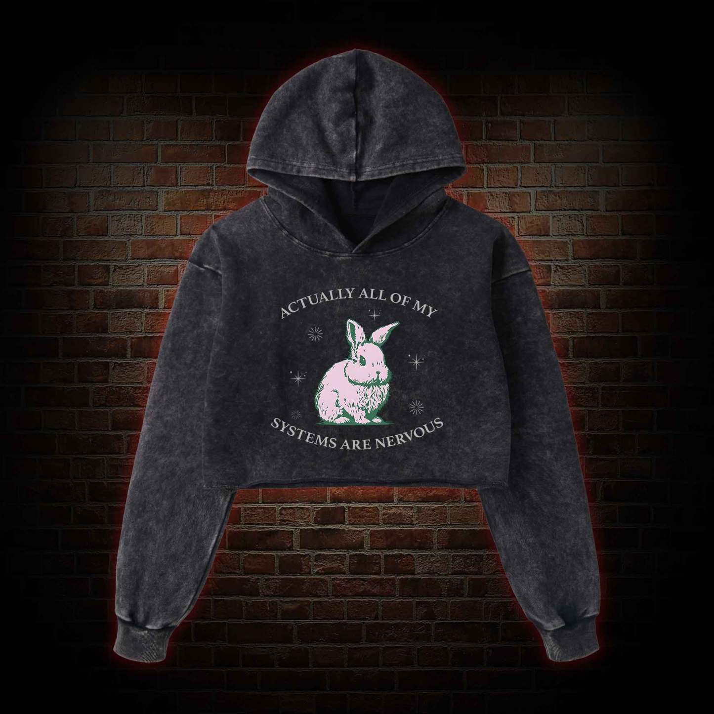 Actually All of My Systems are Nervous Washed Cropped Hoodie