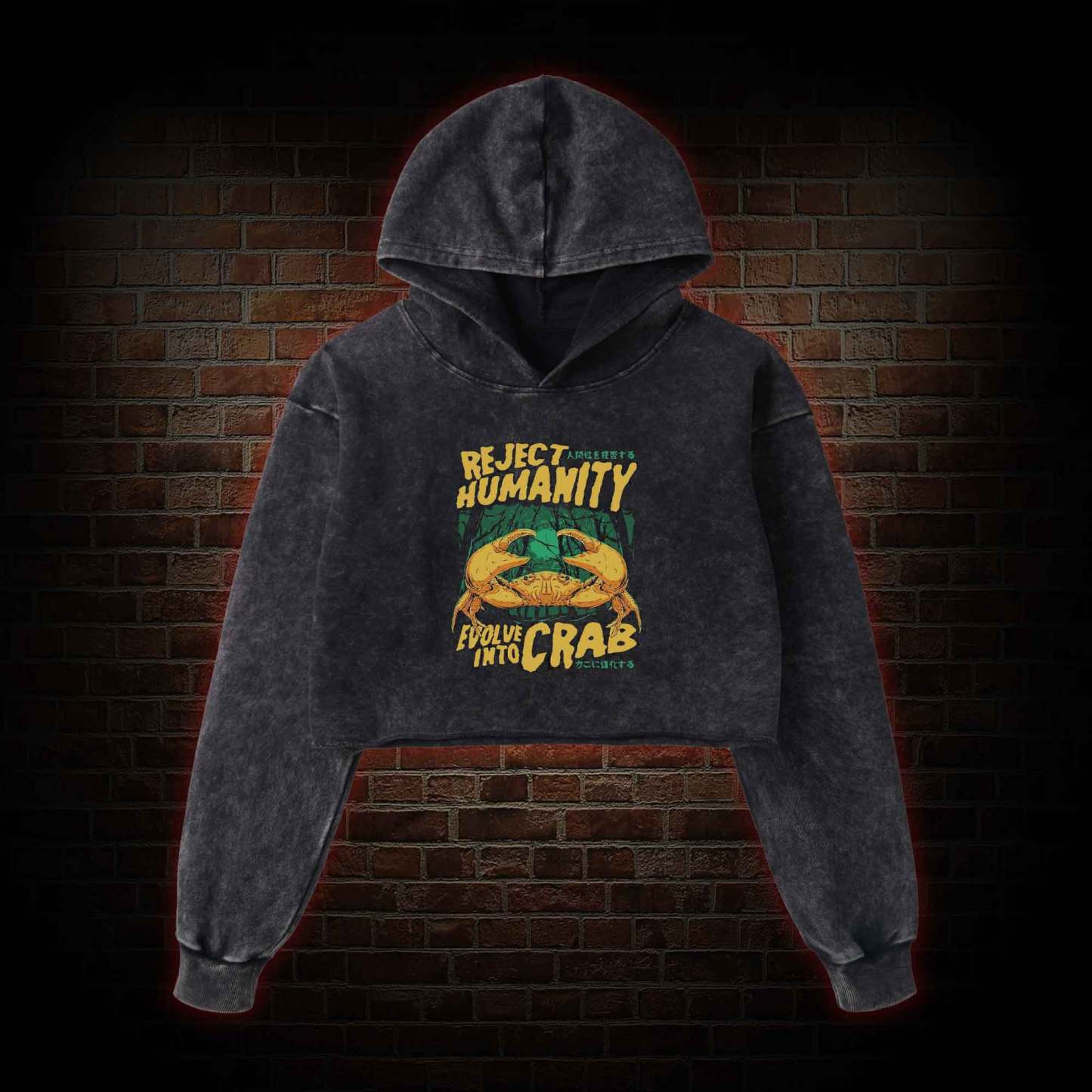 Reject Humanity Crab Washed Cropped Hoodie