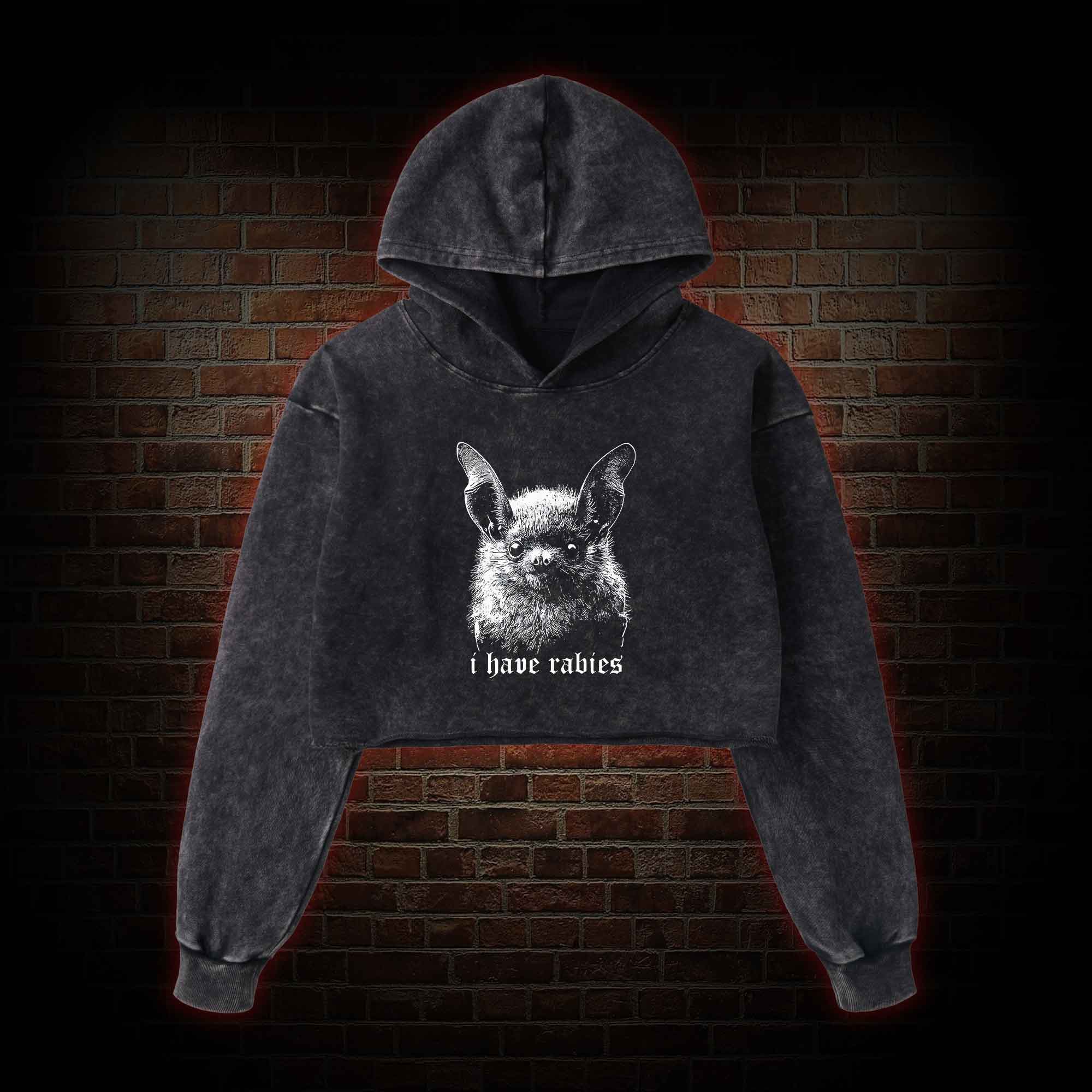 I Have Rabies Bat Washed Cropped Hoodie