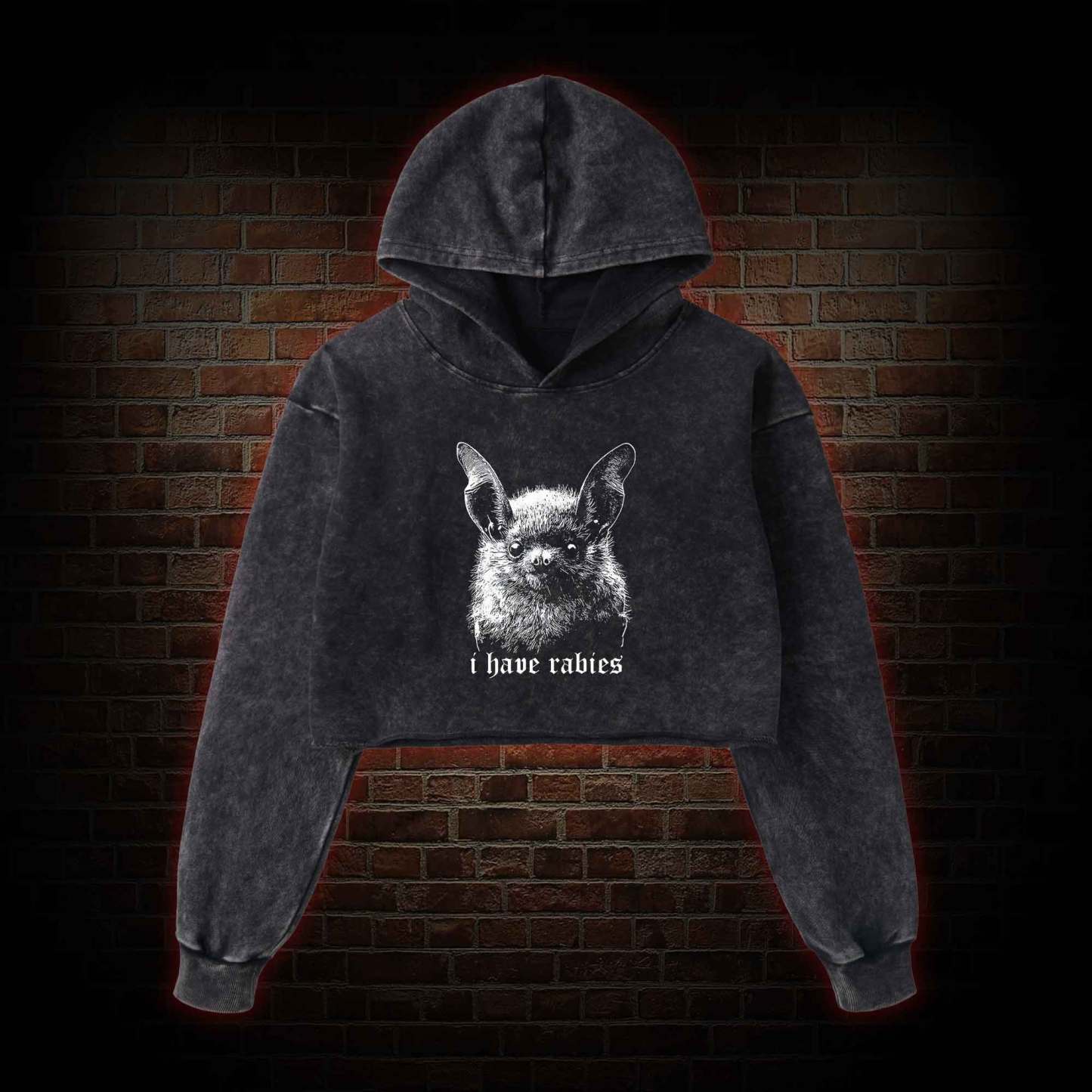 I Have Rabies Bat Washed Cropped Hoodie