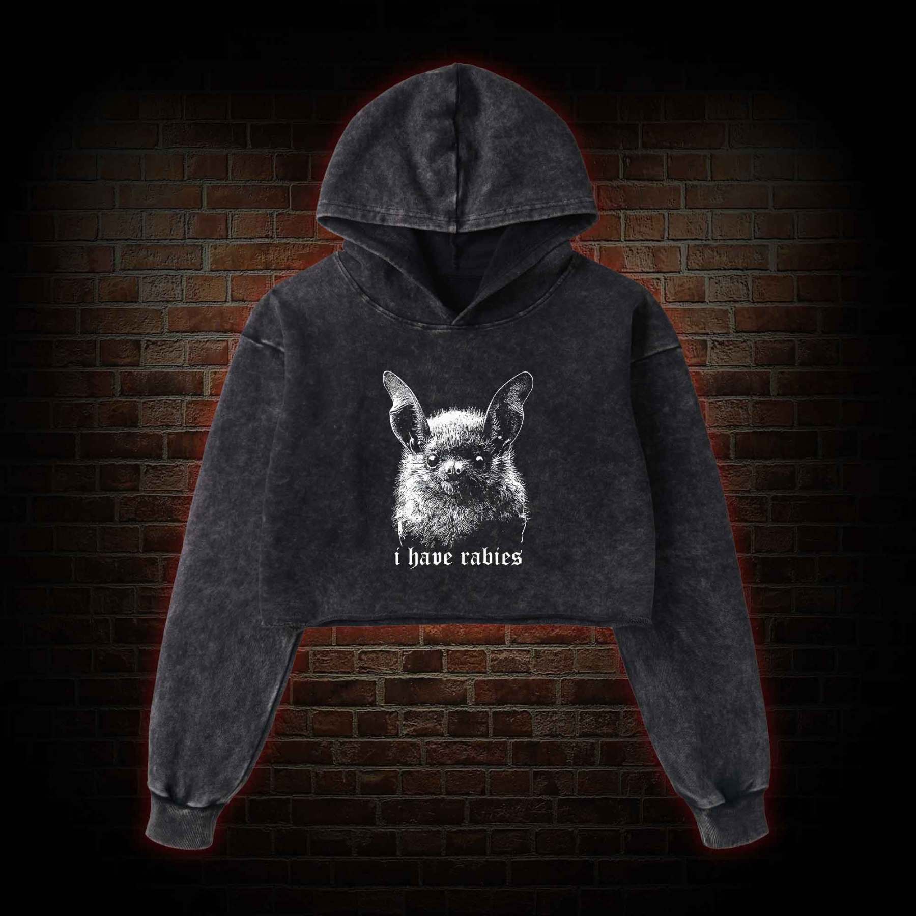 I Have Rabies Bat Washed Cropped Hoodie