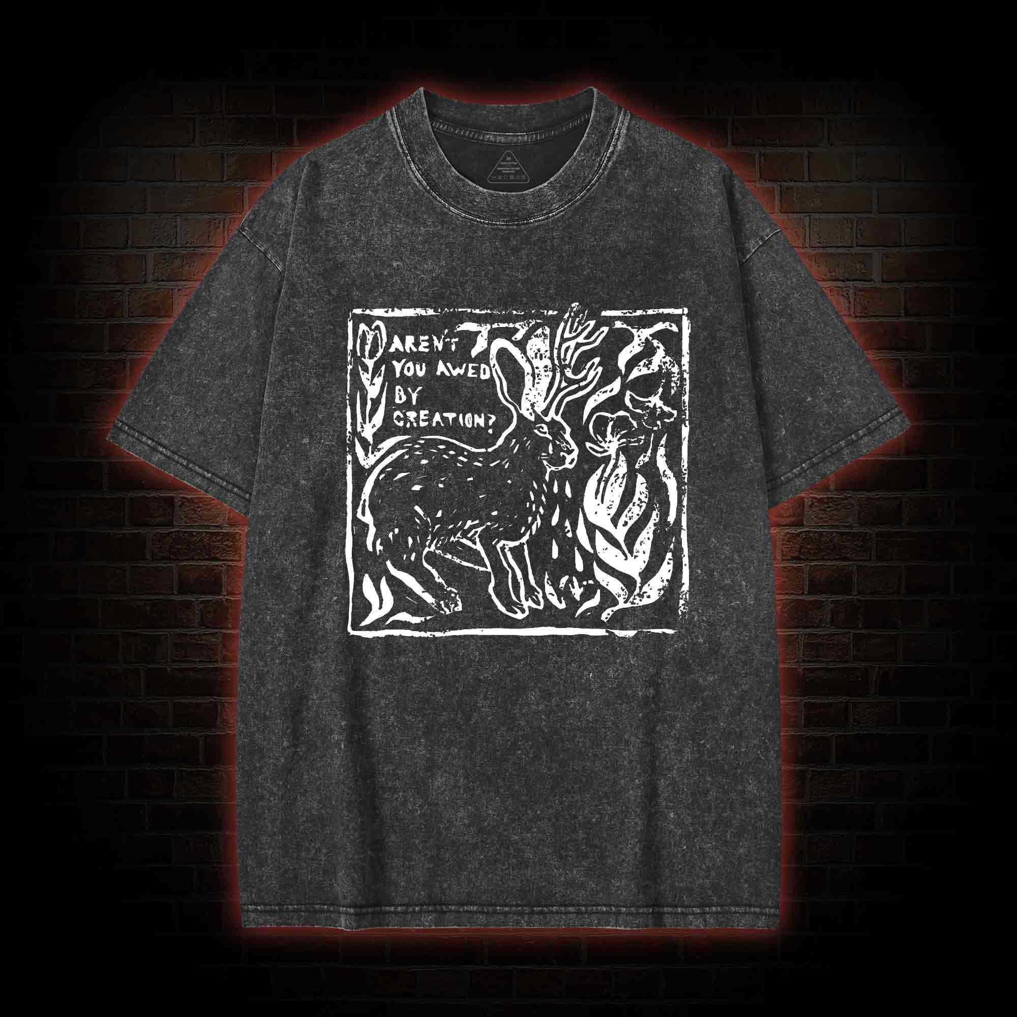 Aren't You Awed by Creation Washed T-shirt