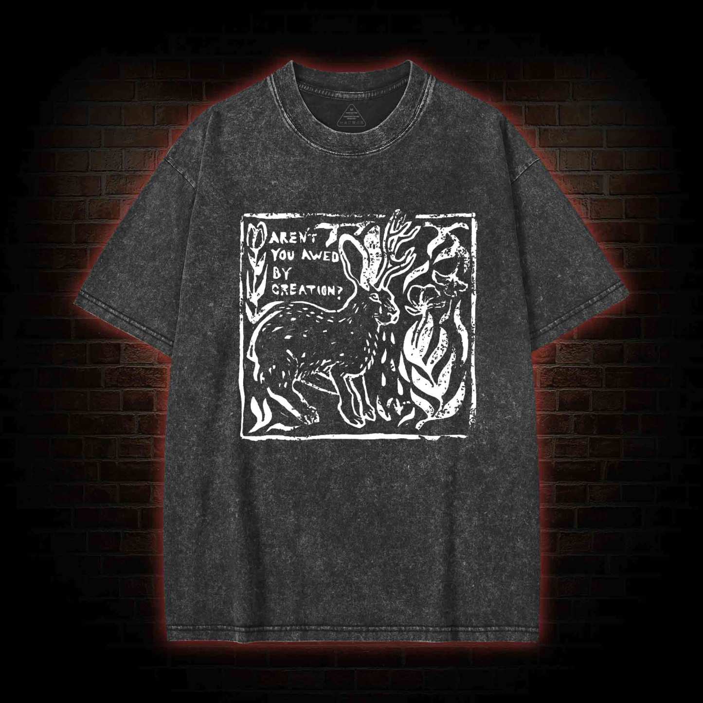 Aren't You Awed by Creation Washed T-shirt