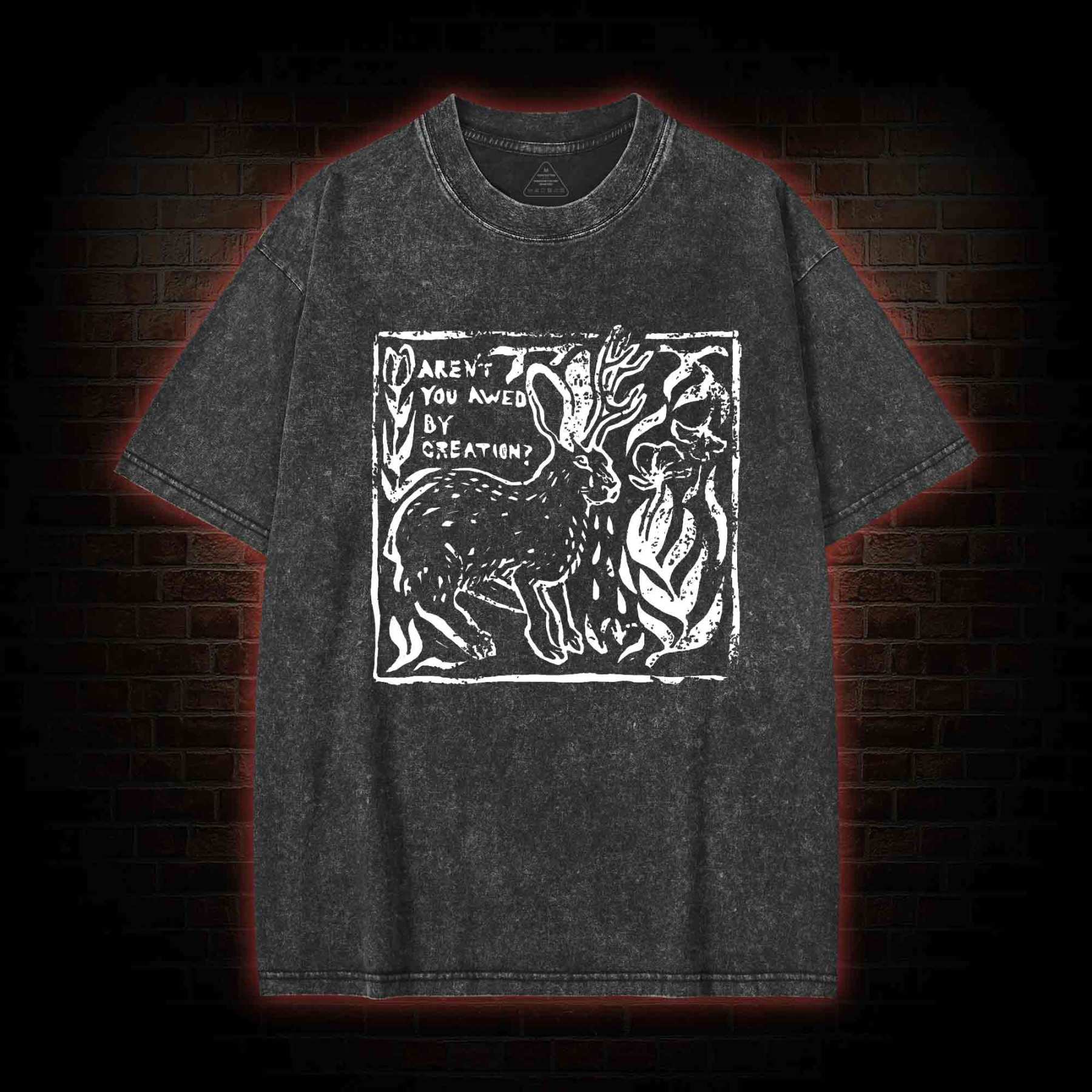 Aren't You Awed by Creation Washed T-shirt