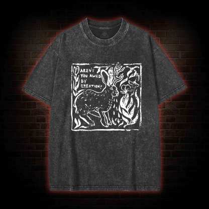 Aren't You Awed by Creation Washed T-shirt