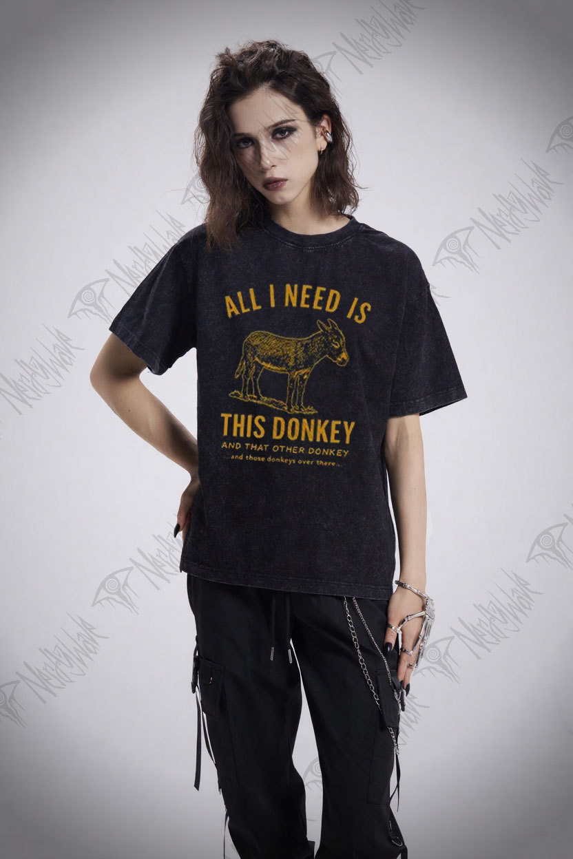 All I Need is This Donkey Washed T-shirt