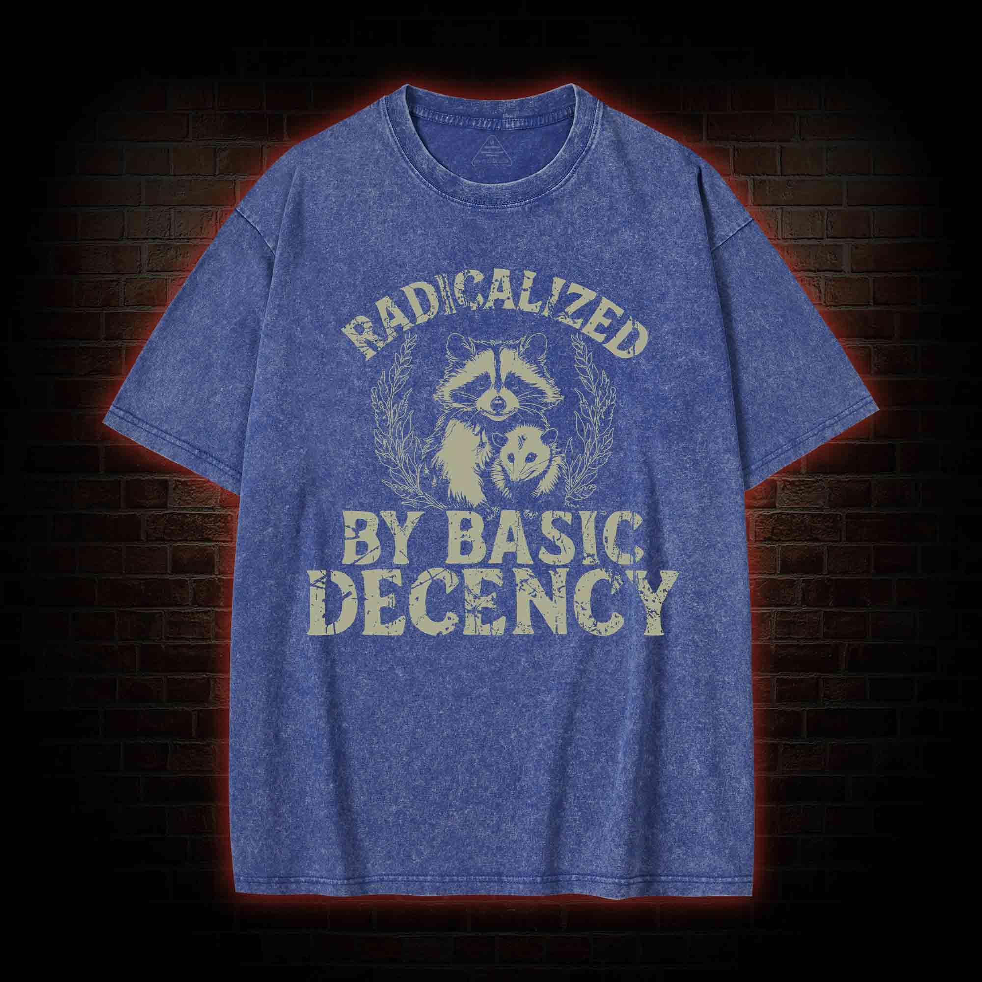 Radicalized by Basic Decency Raccoon Washed T-shirt