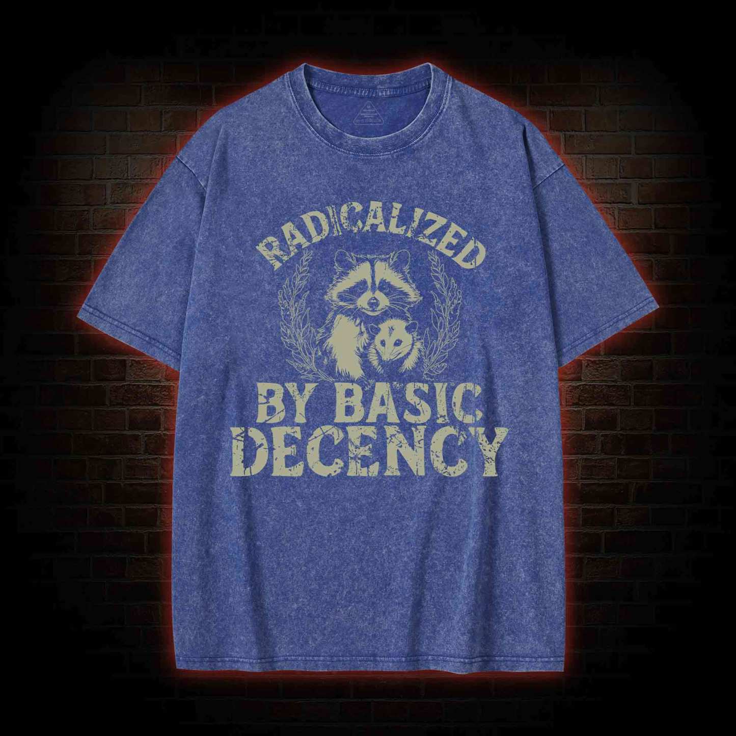Radicalized by Basic Decency Raccoon Washed T-shirt
