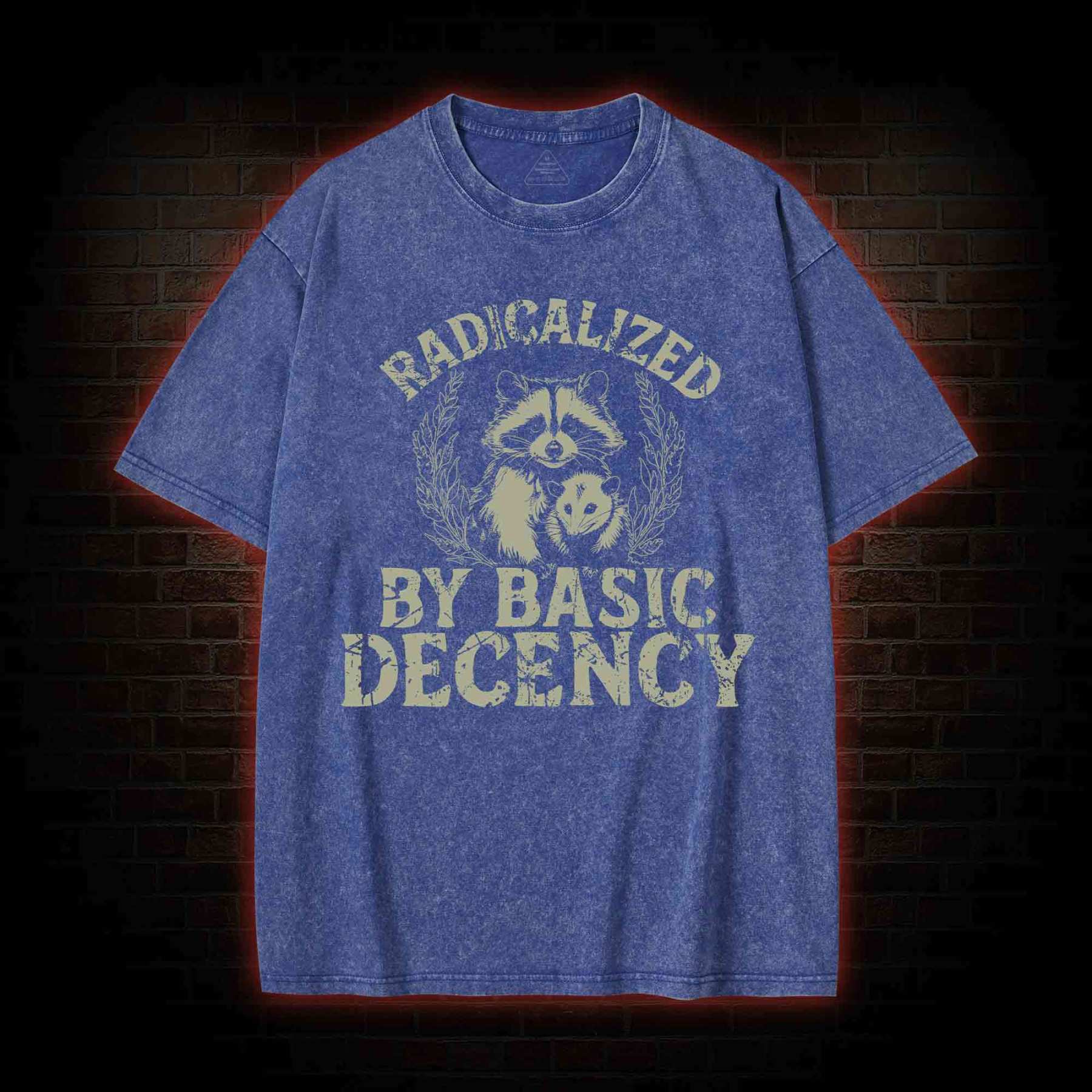Radicalized by Basic Decency Raccoon Washed T-shirt