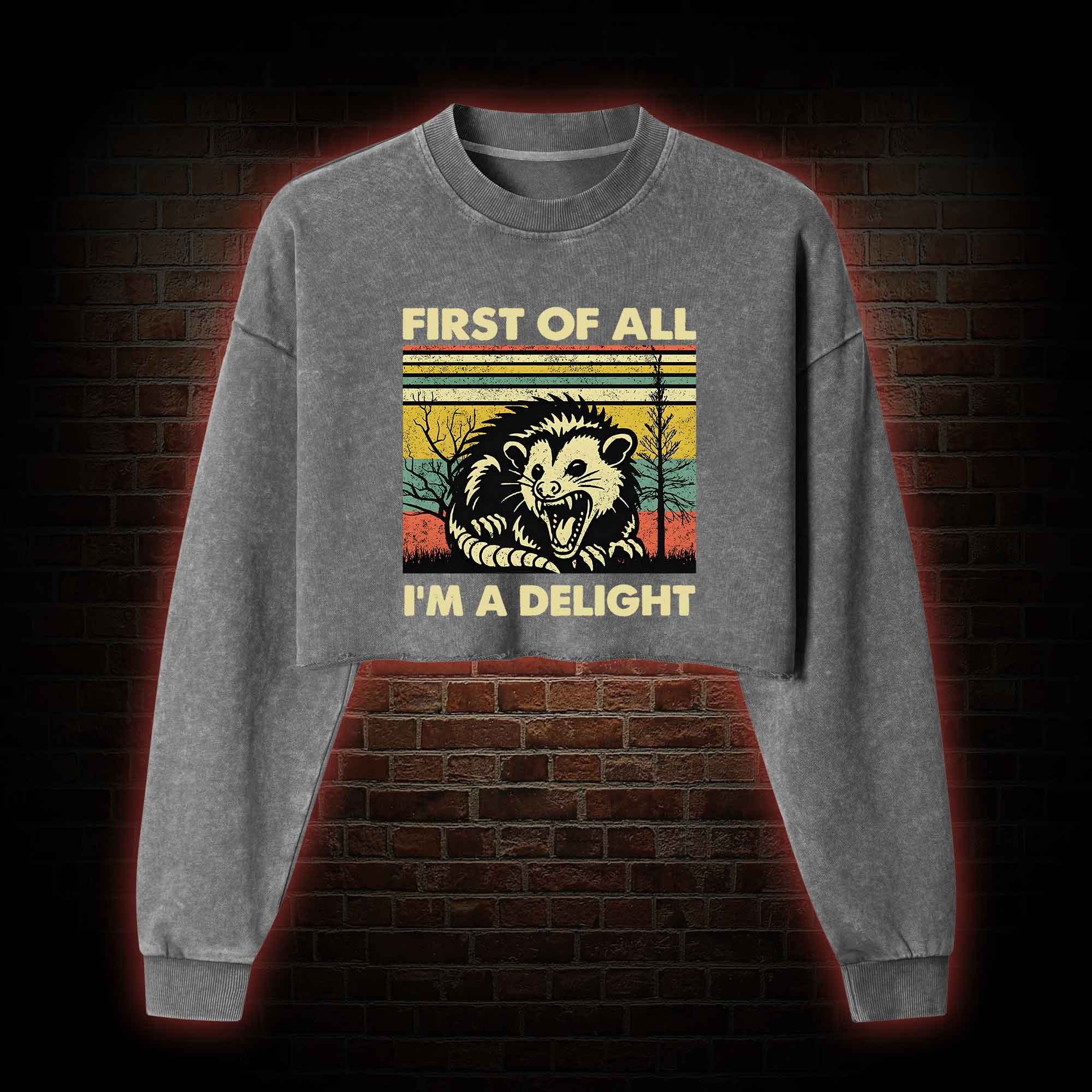 I'm A Delight Washed Cropped Sweatshirts